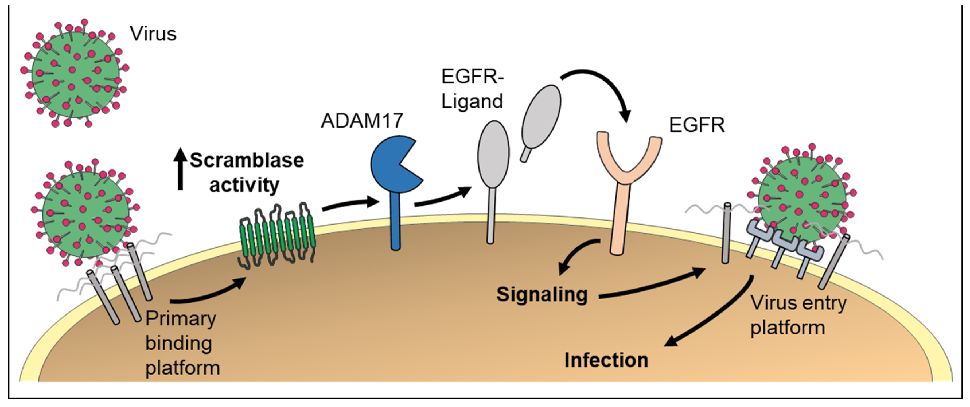 Membranes 12 00185 g003 Membranes 12 00185 g003