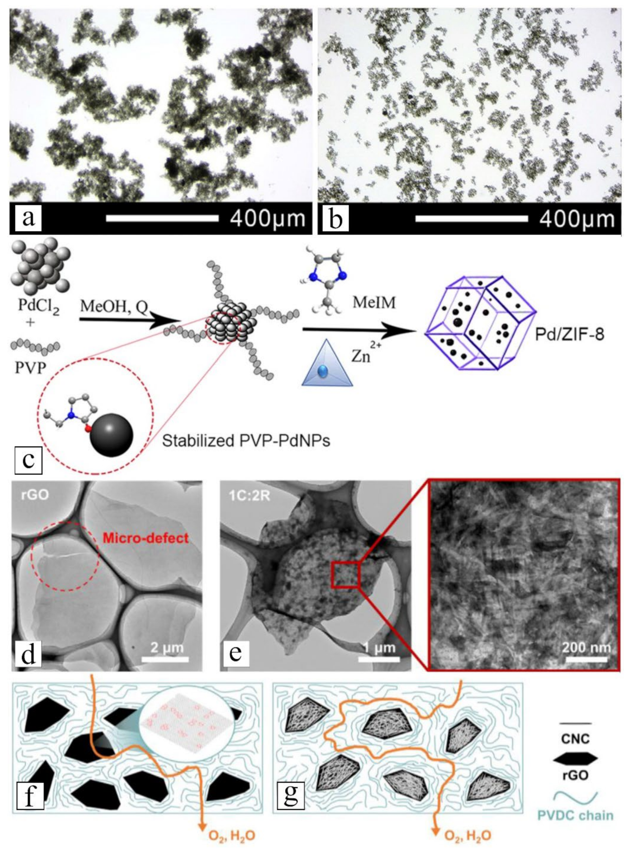 The State-of-the-Art Functionalized Nanomaterials for Carbon
