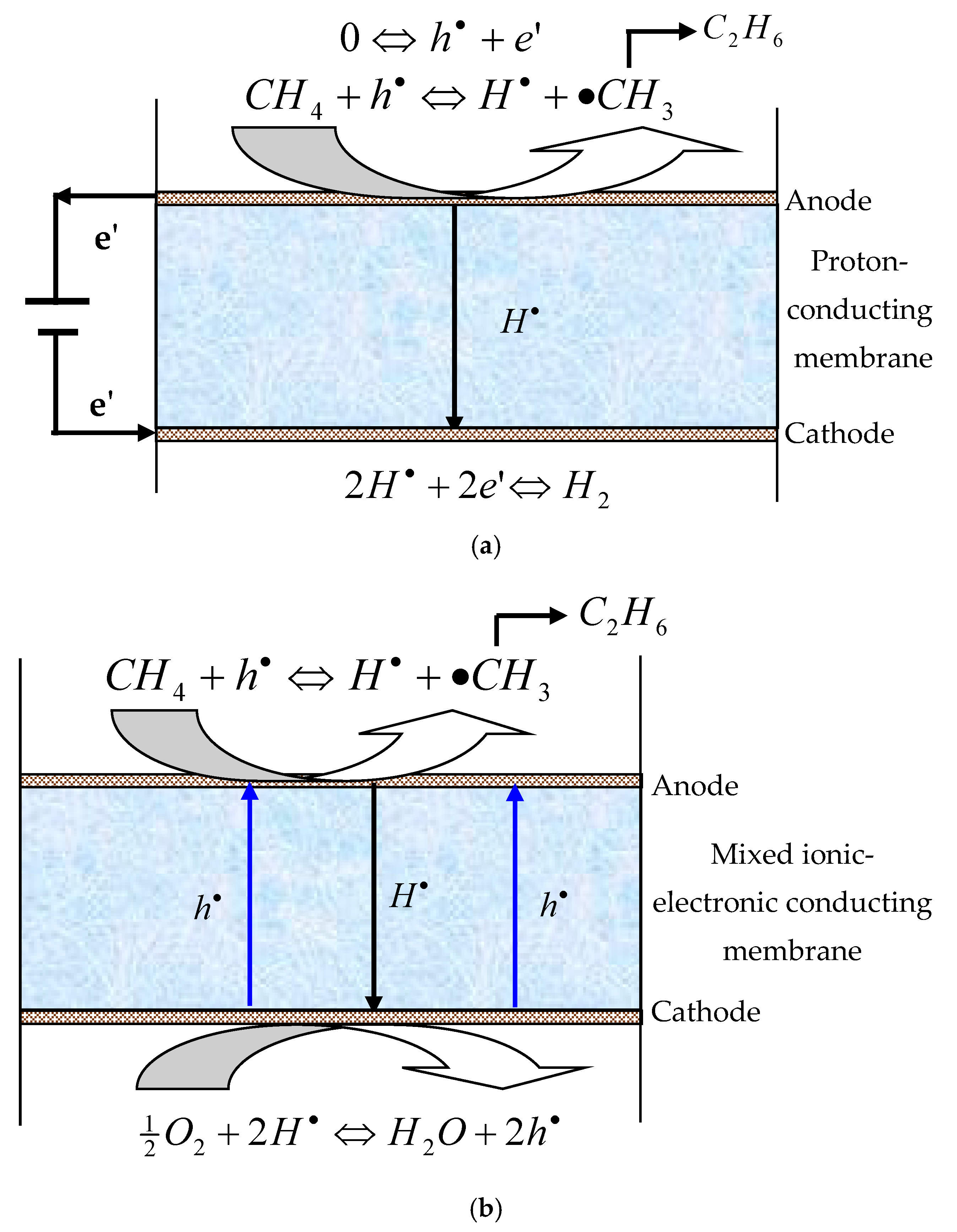 Membranes 12 00191 g001