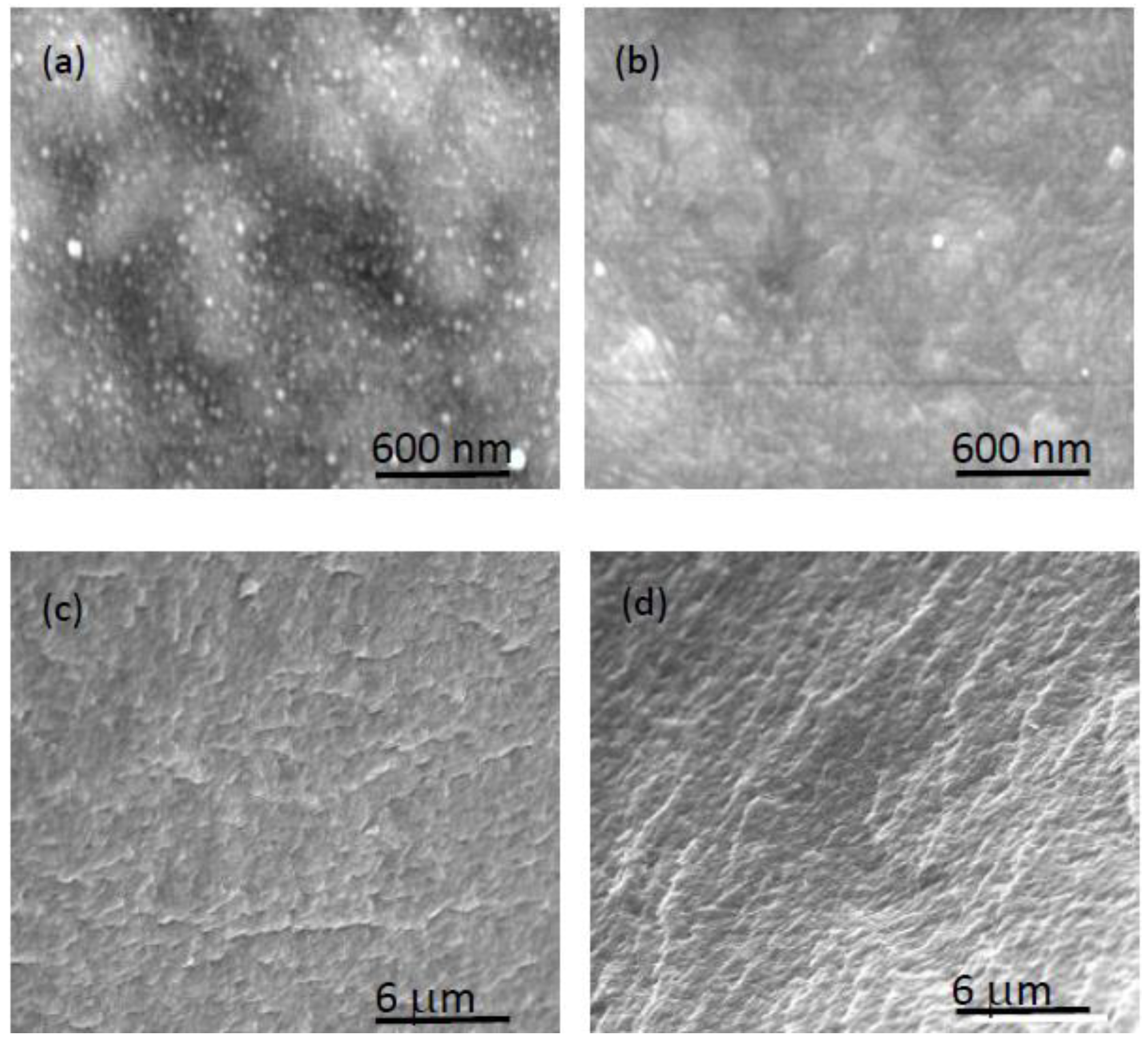 Membranes 12 00192 g009