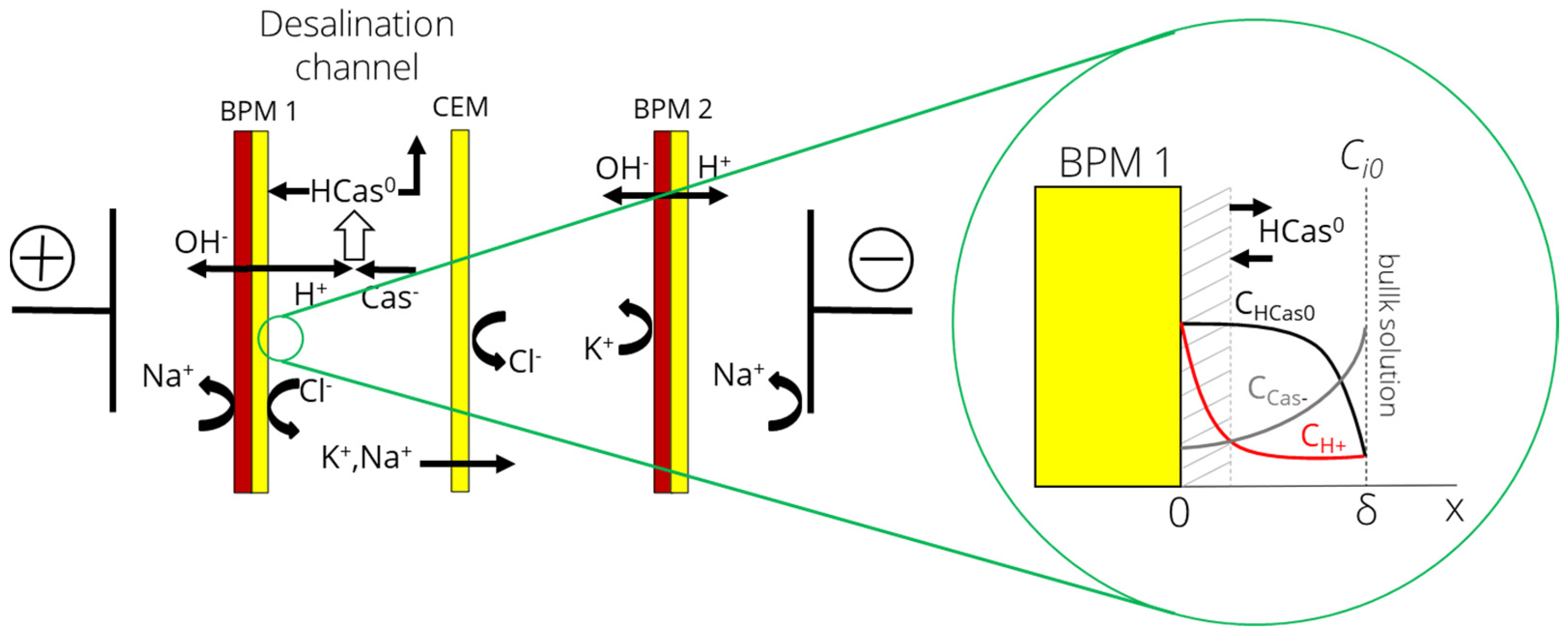 Membranes 12 00193 g002 550