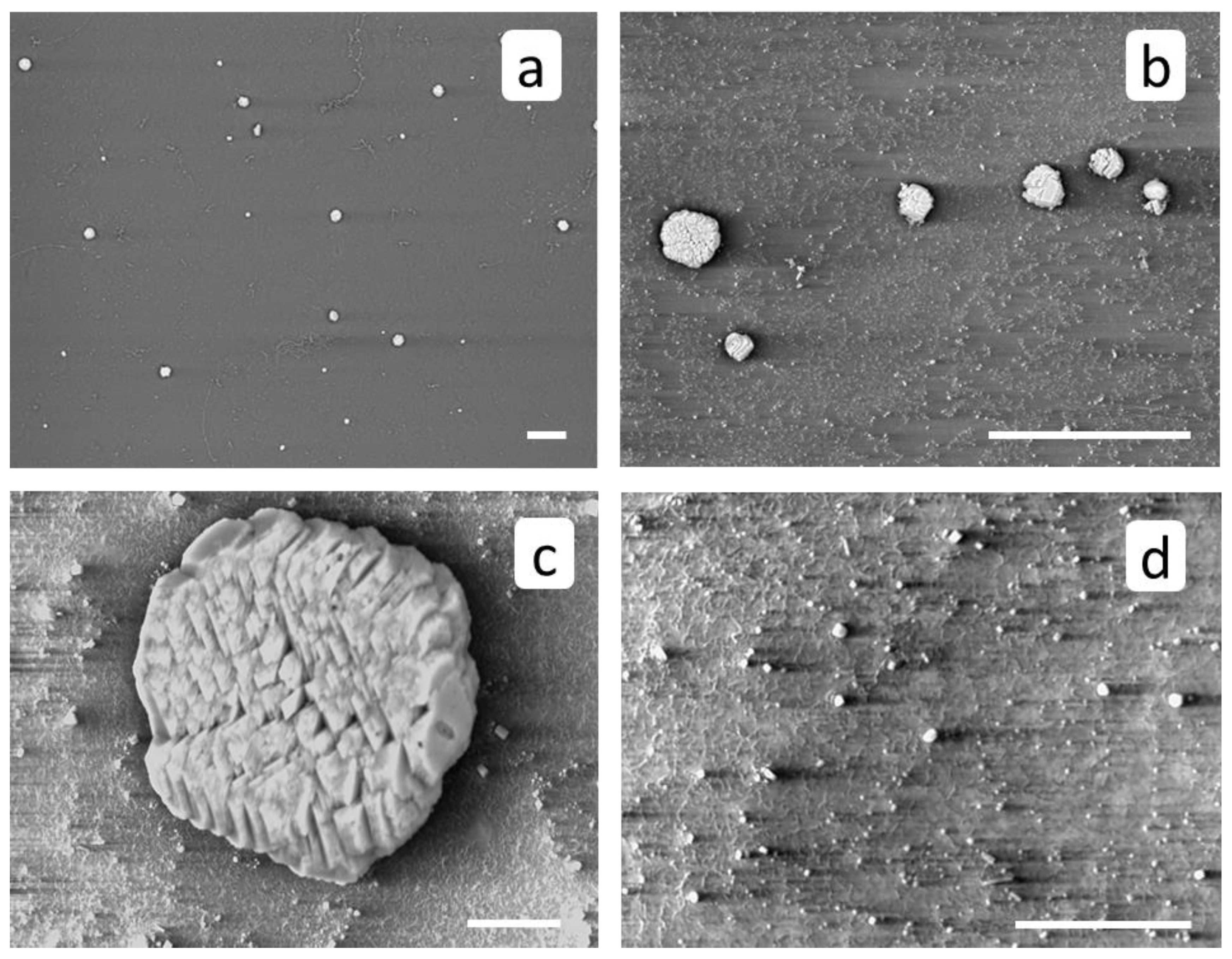 Membranes 12 00194 g006 550
