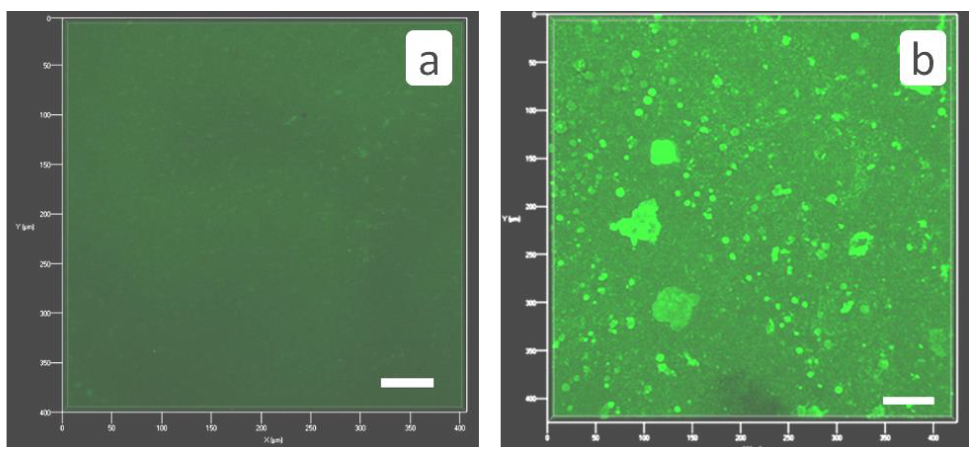 Membranes 12 00194 g008 550