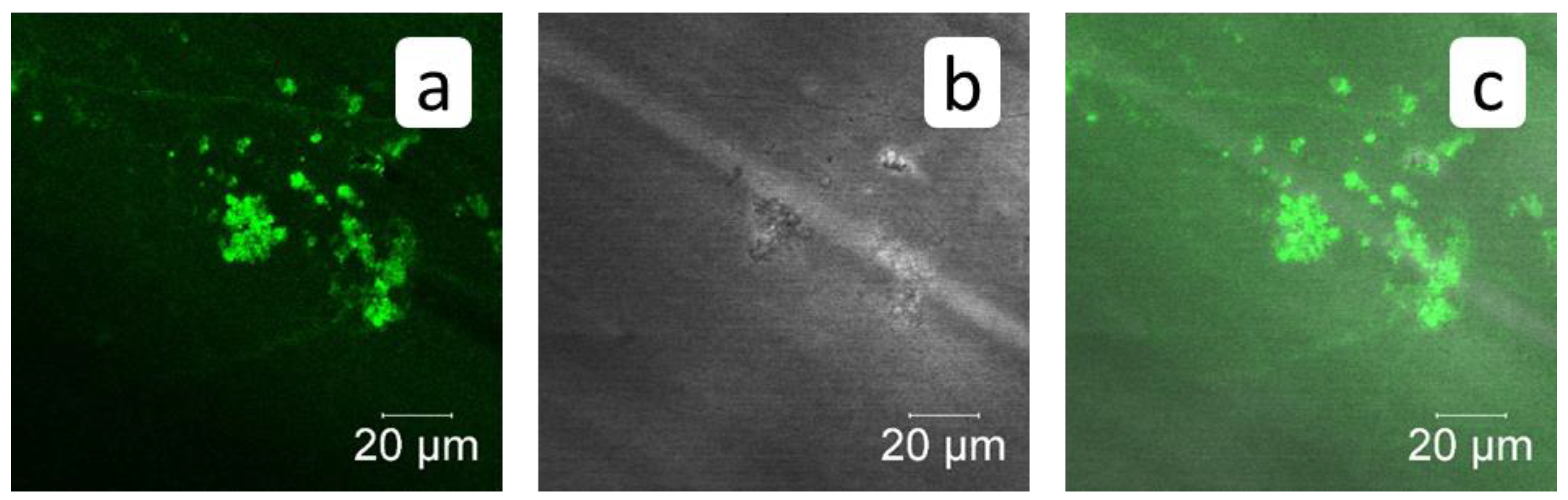 Membranes 12 00194 g011 550