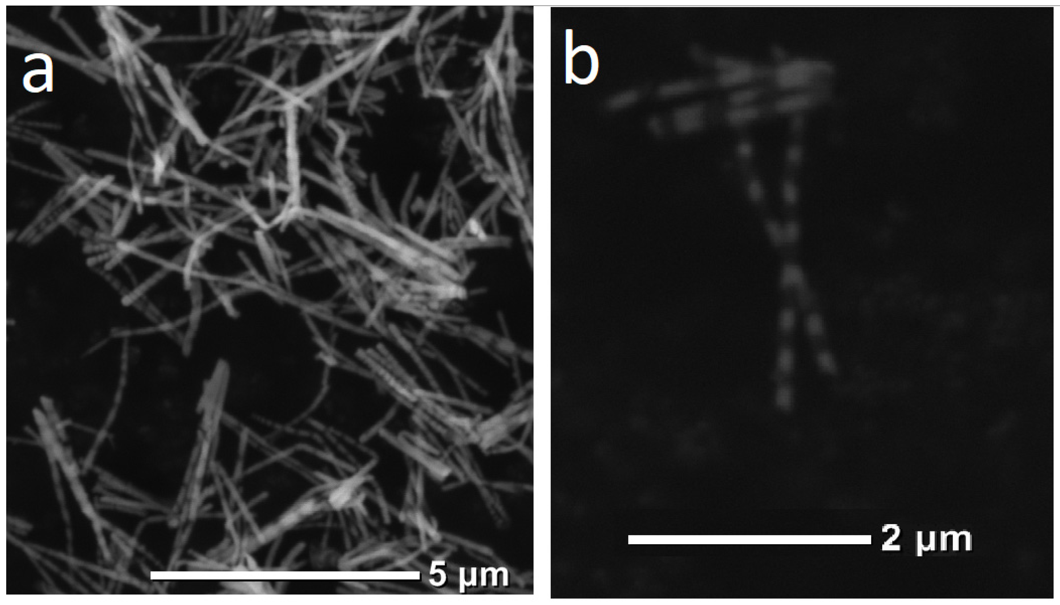 Membranes 12 00195 g008 550