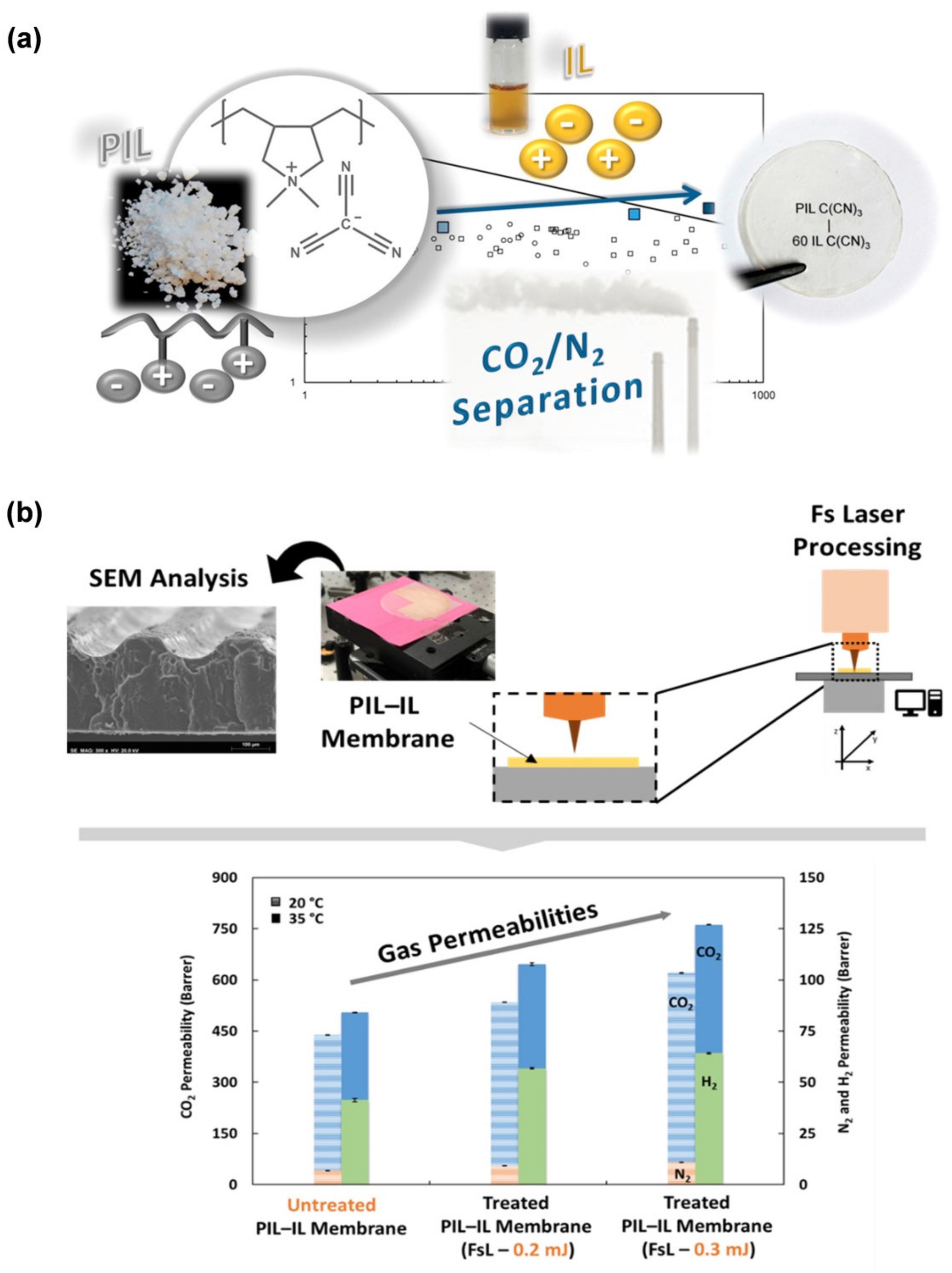 Membranes 12 00197 g007 Membranes 12 00197 g007