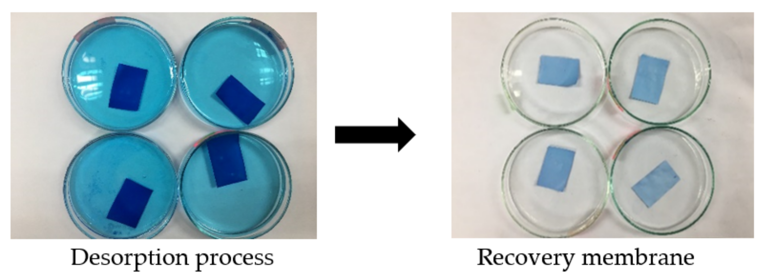 Membranes 12 00198 g001 550