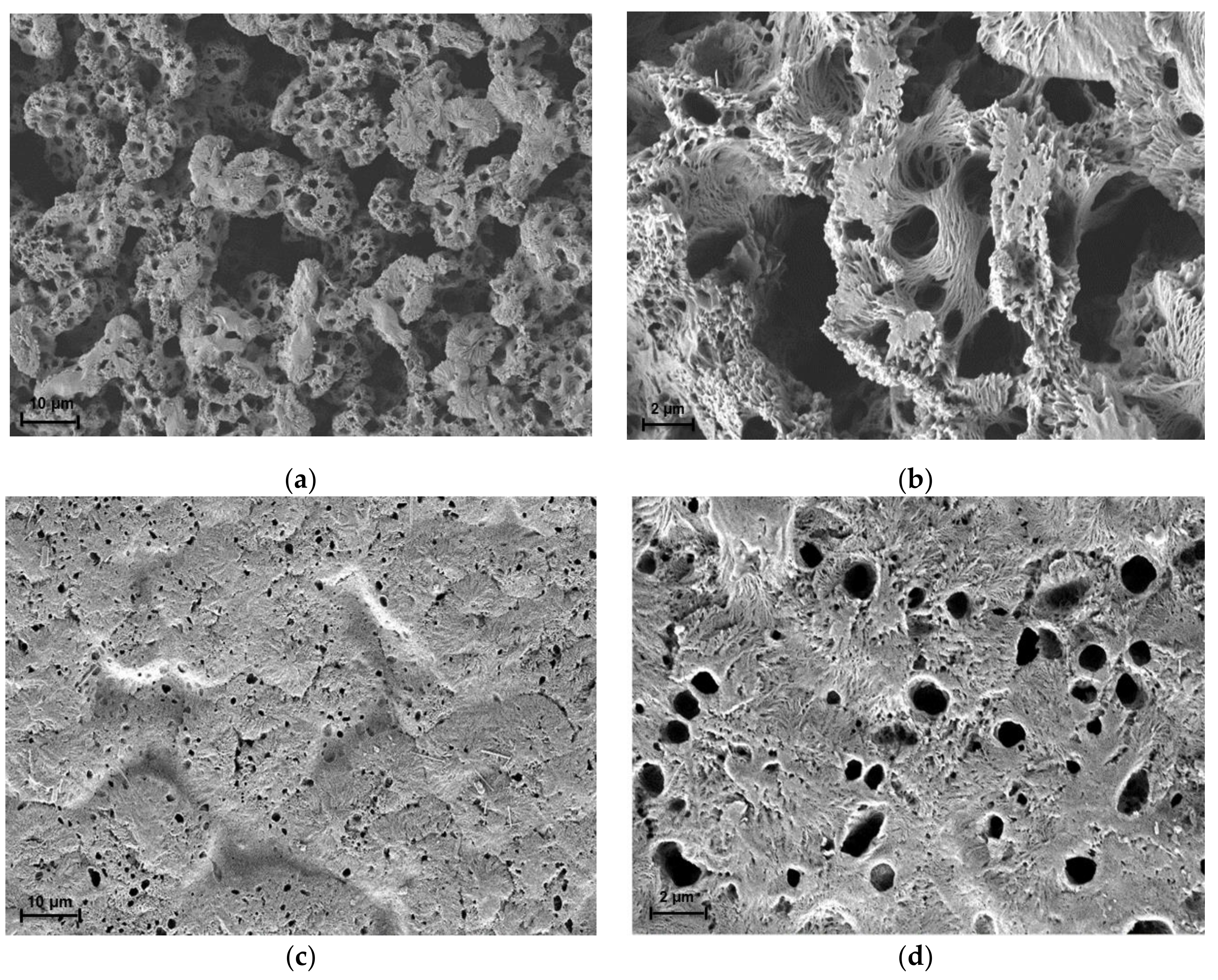 Membranes 12 00198 g004 550