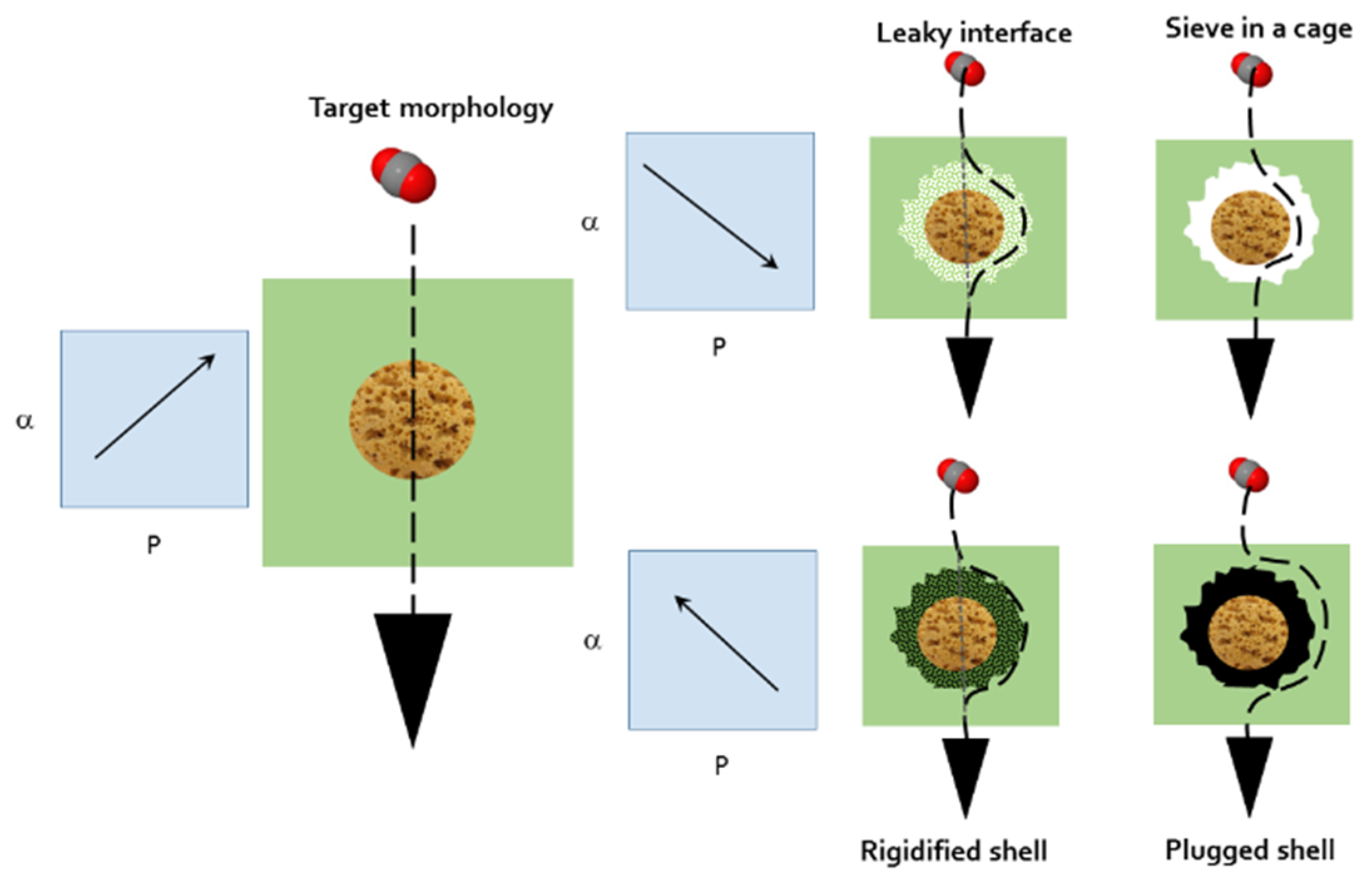Membranes 12 00200 g001