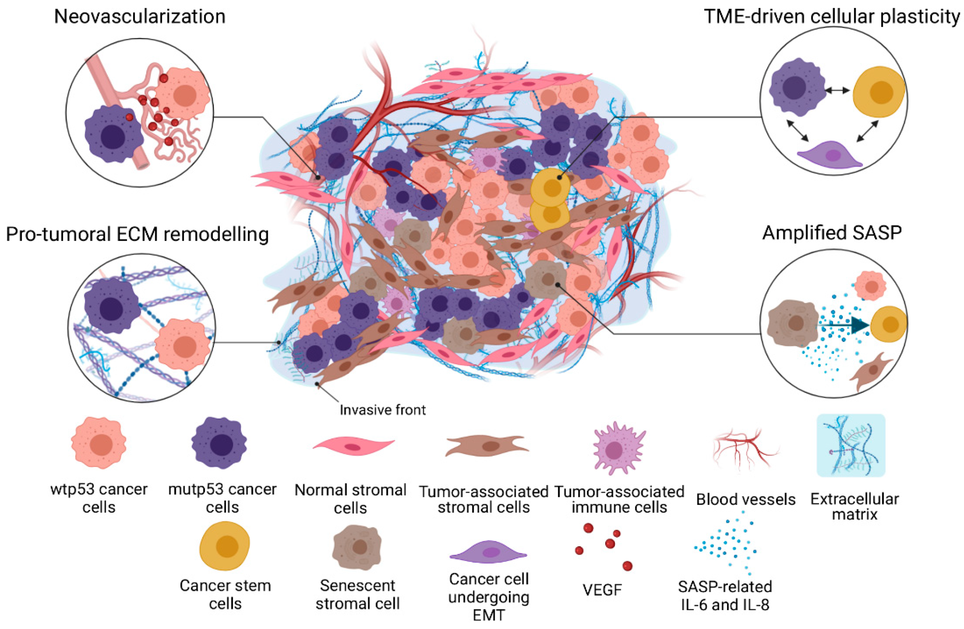 Membranes 12 00202 g001