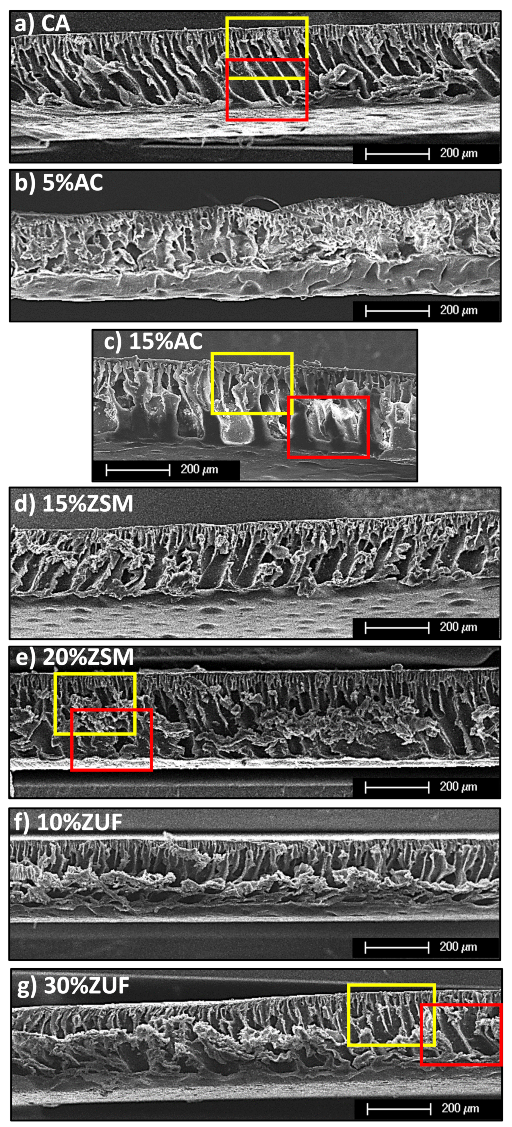Membranes 12 00203 g002
