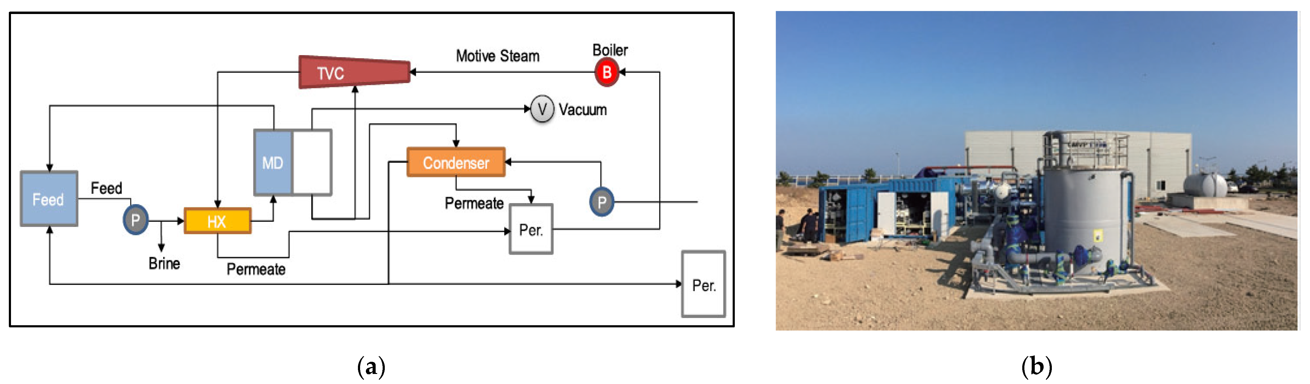 Membranes 12 00204 g007 Membranes 12 00204 g007