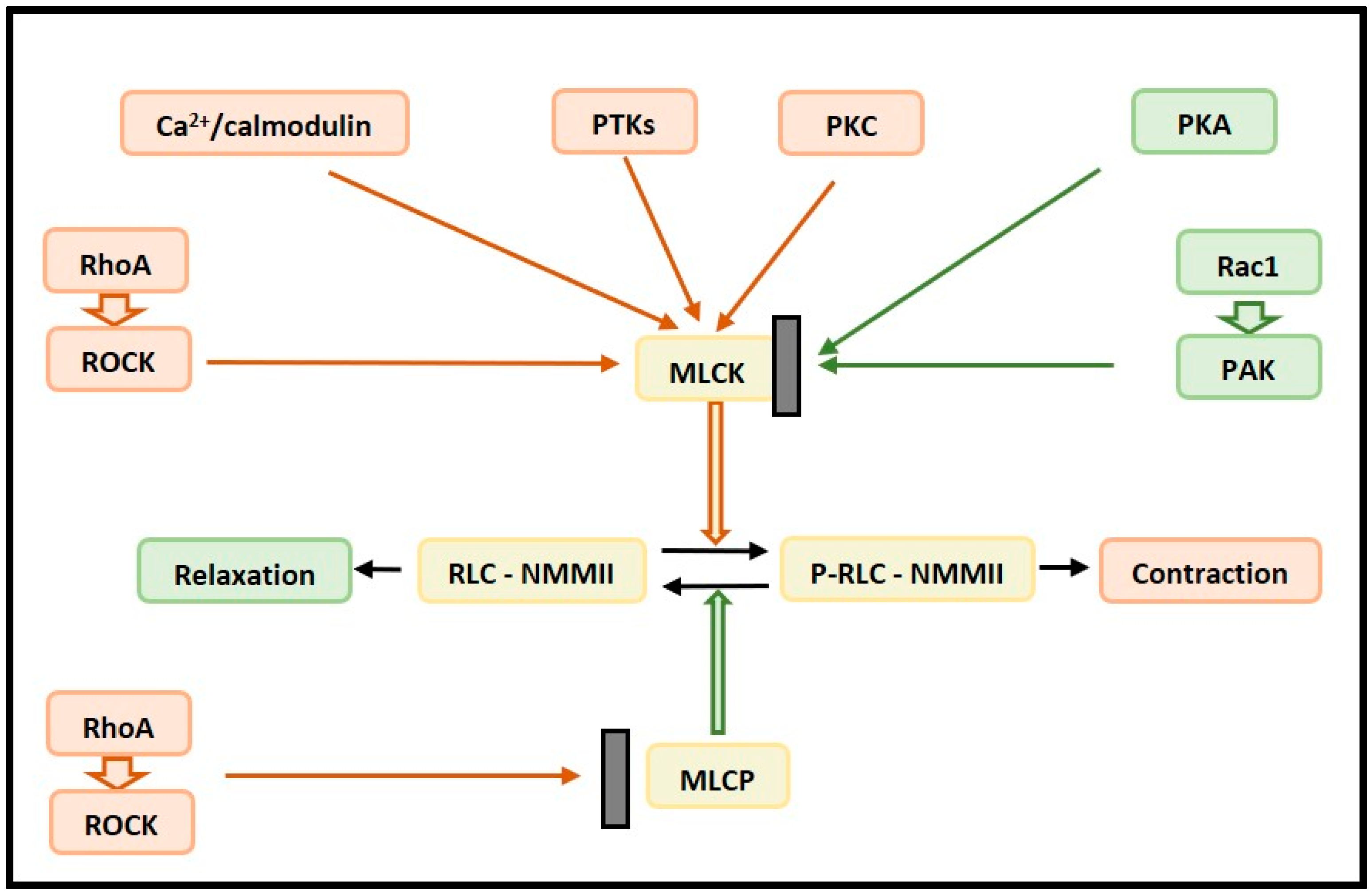 Membranes 12 00205 g003 Membranes 12 00205 g003