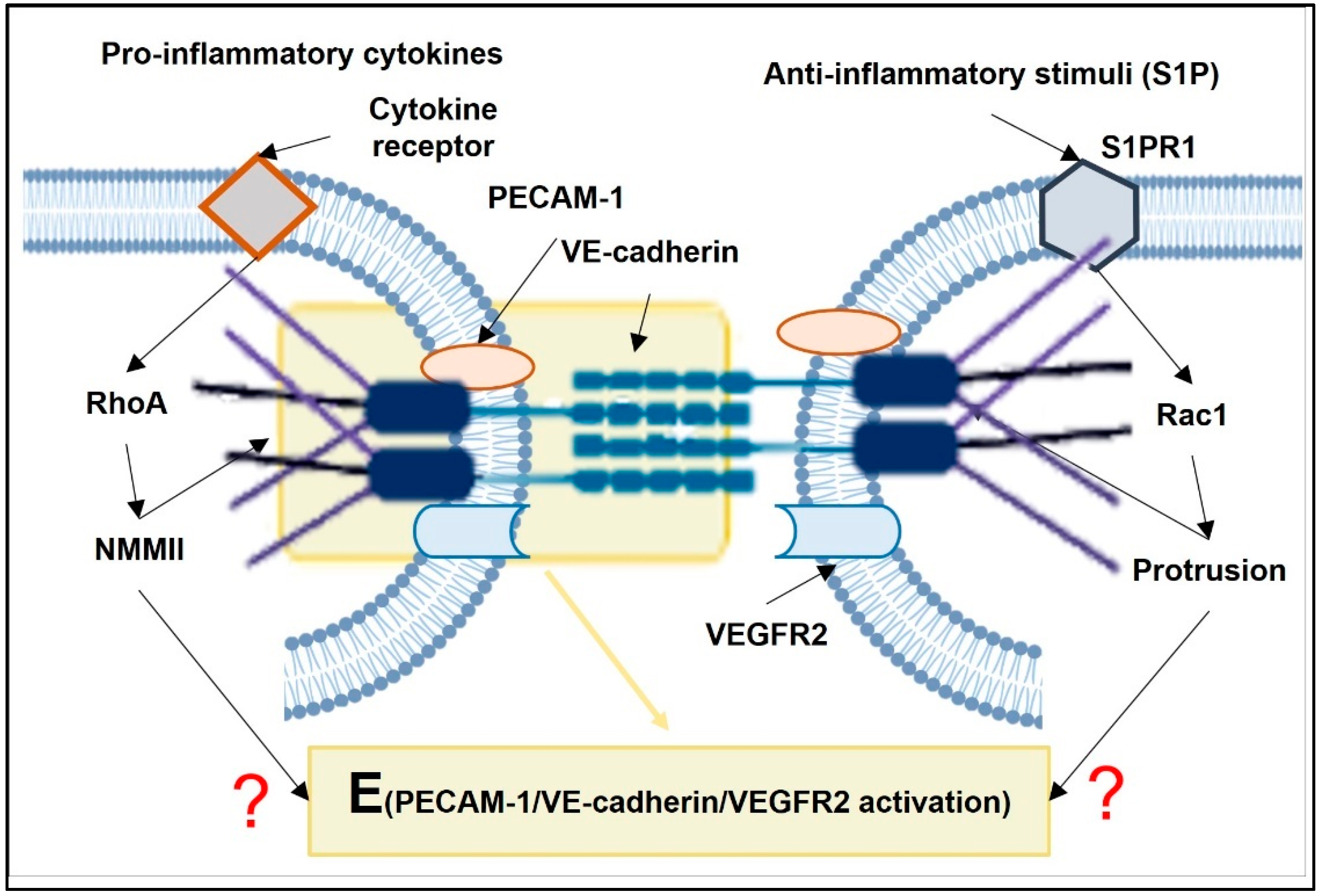 Membranes 12 00205 g005 Membranes 12 00205 g005