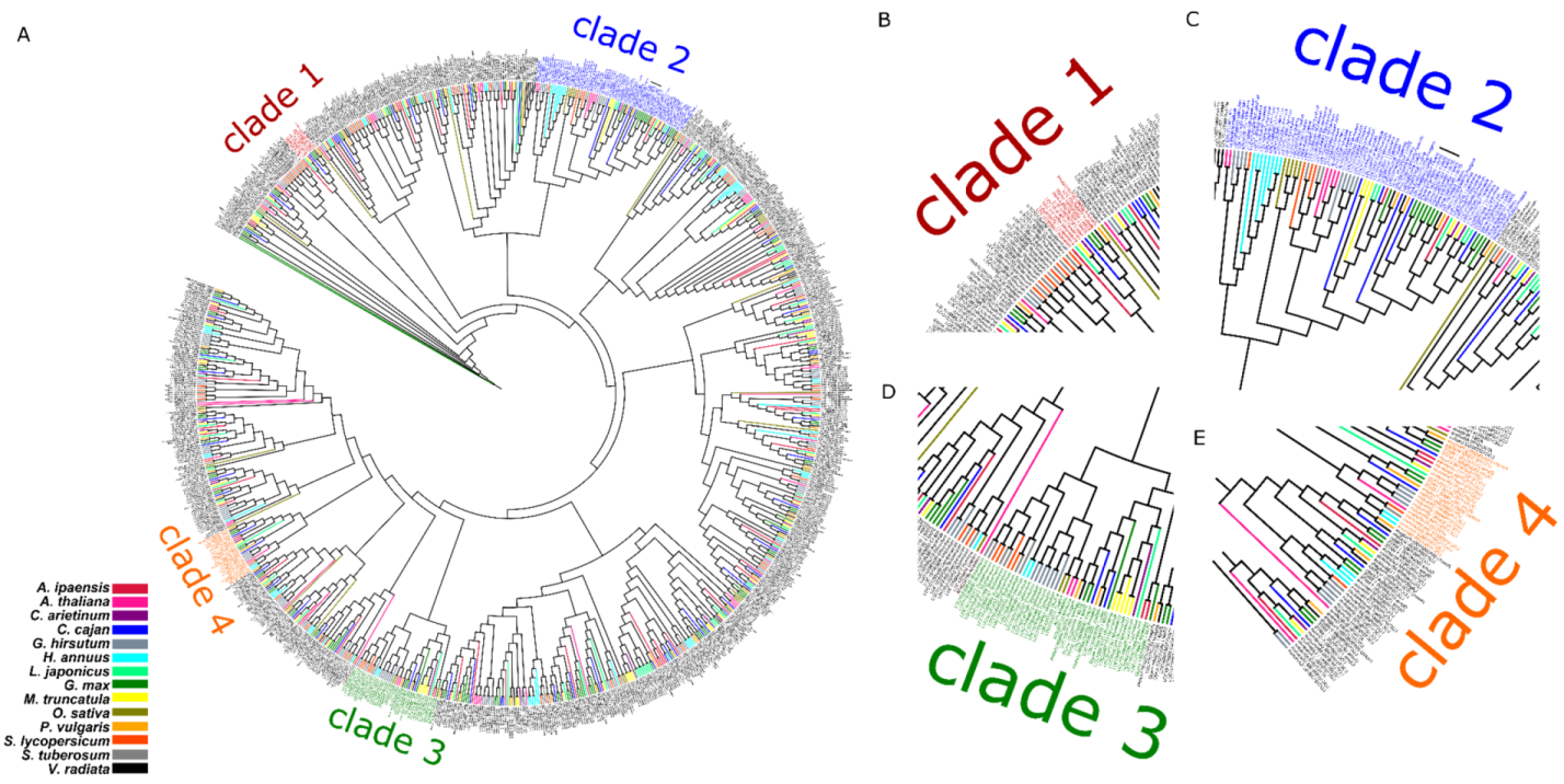 Membranes 12 00206 g001 550