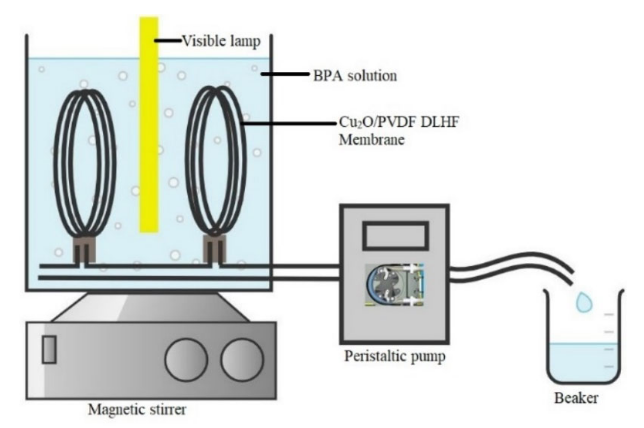 Membranes 12 00208 g001 Membranes 12 00208 g001