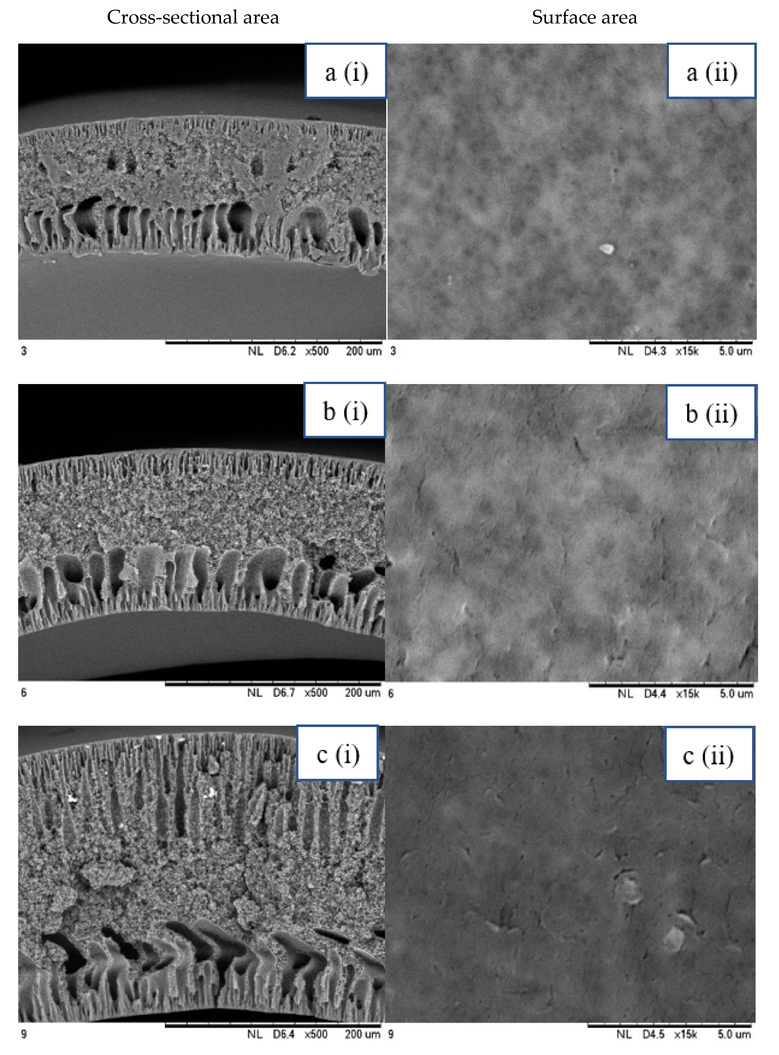 Membranes 12 00208 g002 Membranes 12 00208 g002