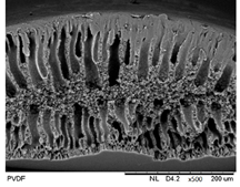 Membranes 12 00208 i001 Membranes 12 00208 i001
