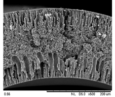 Membranes 12 00208 i005 Membranes 12 00208 i005