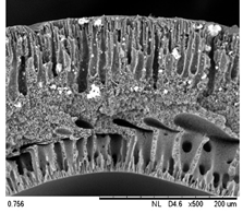 Membranes 12 00208 i007 Membranes 12 00208 i007