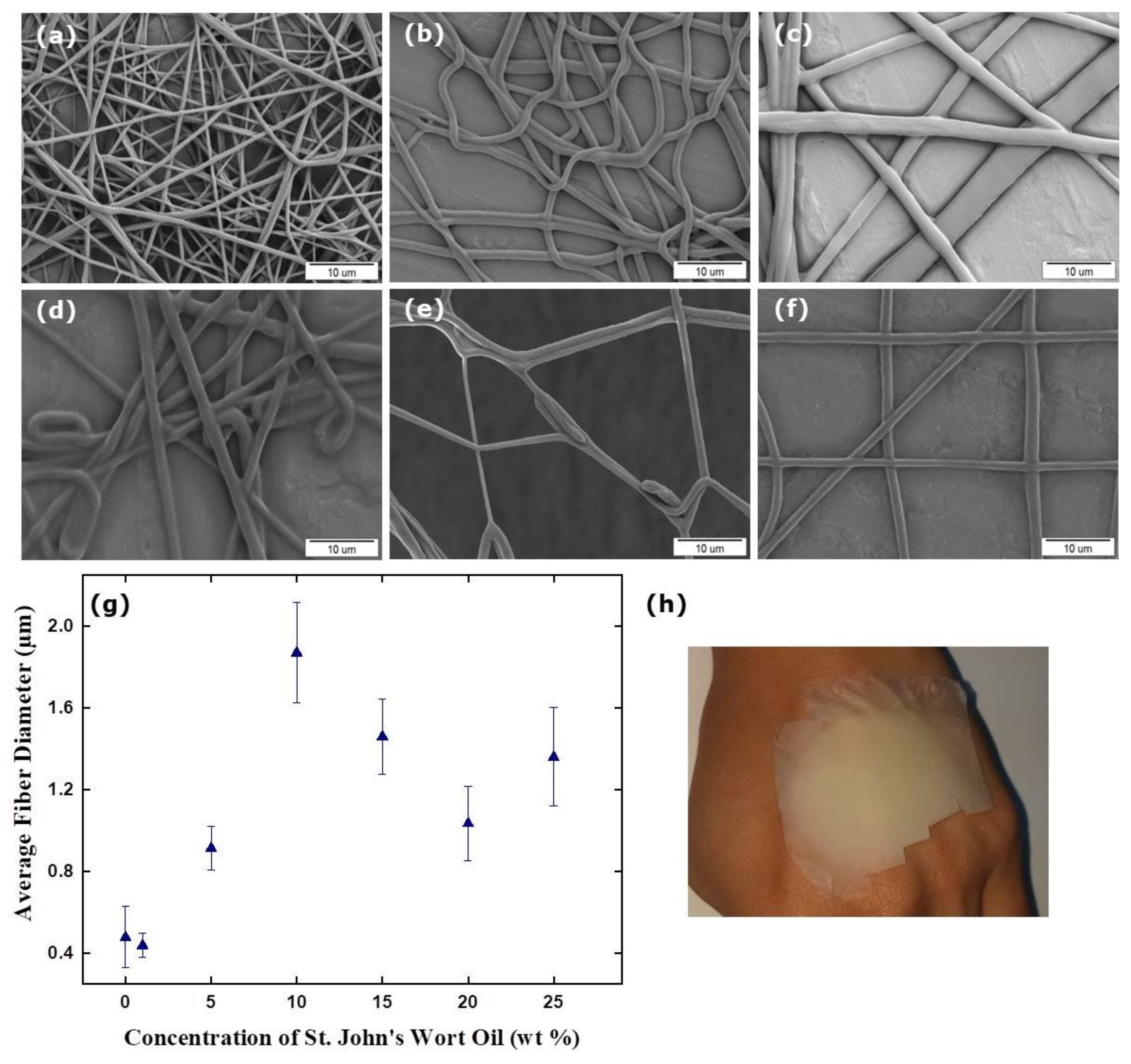 Membranes 12 00209 g003