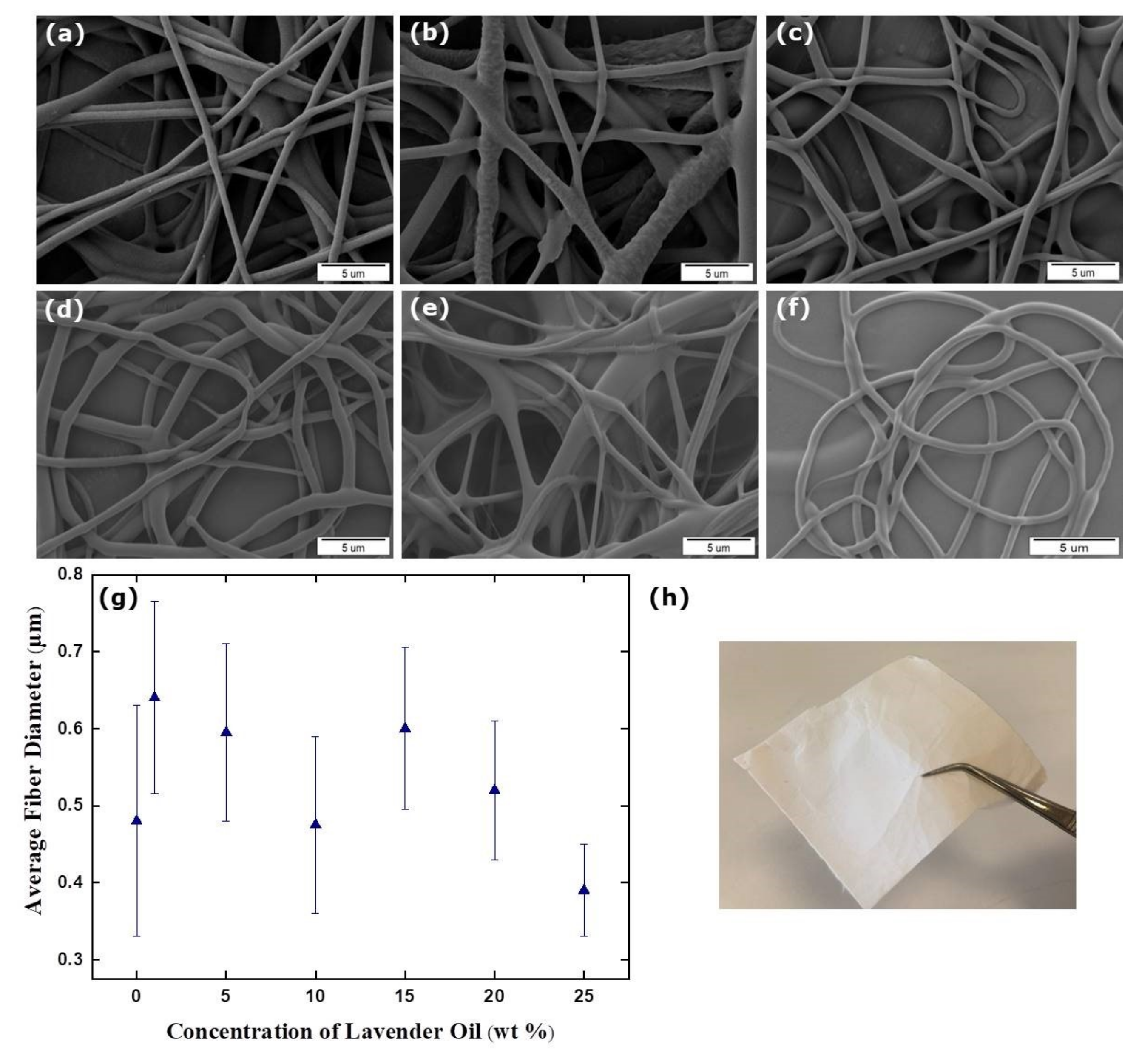 Membranes 12 00209 g004