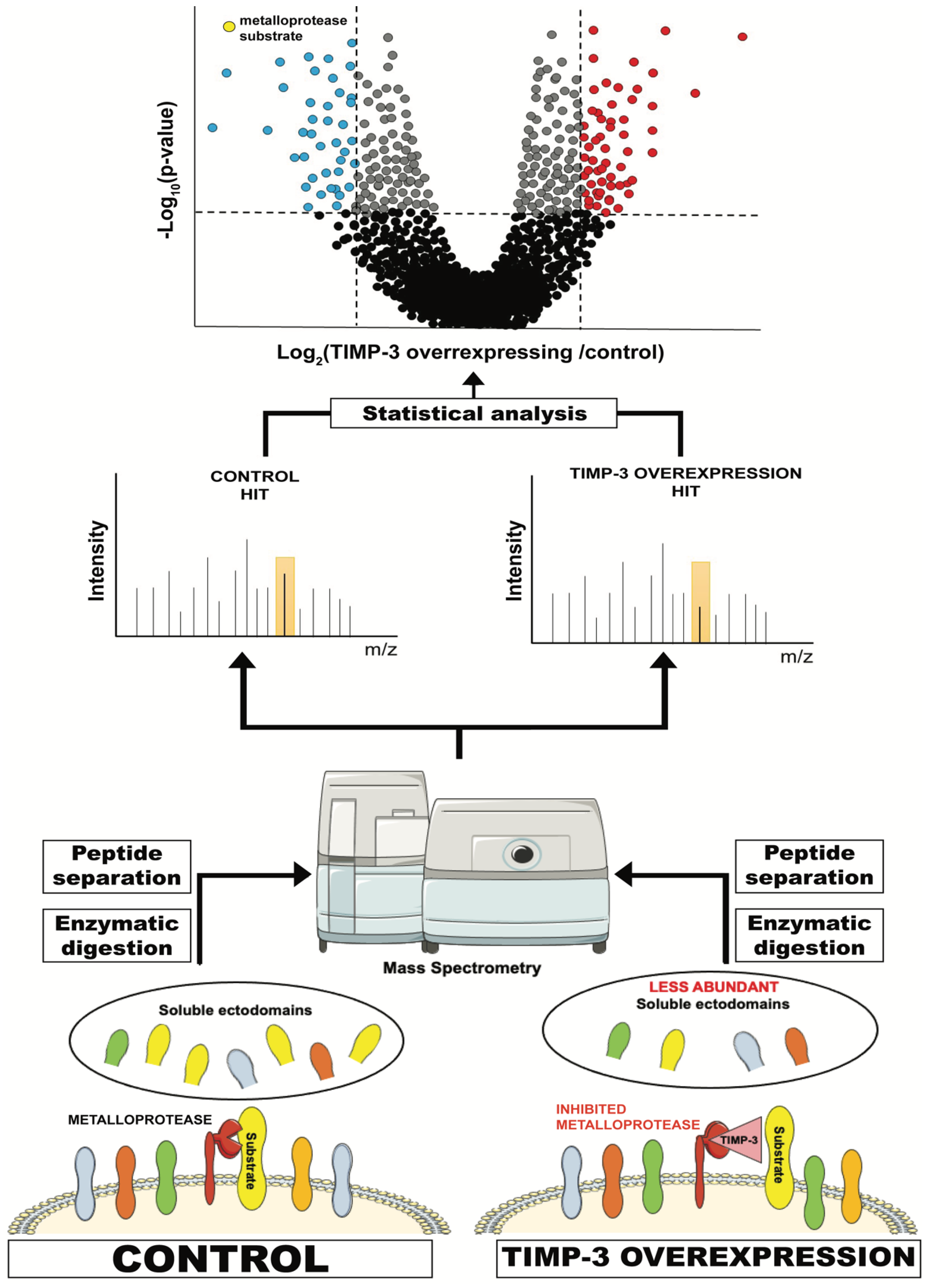 Membranes 12 00211 g002 Membranes 12 00211 g002
