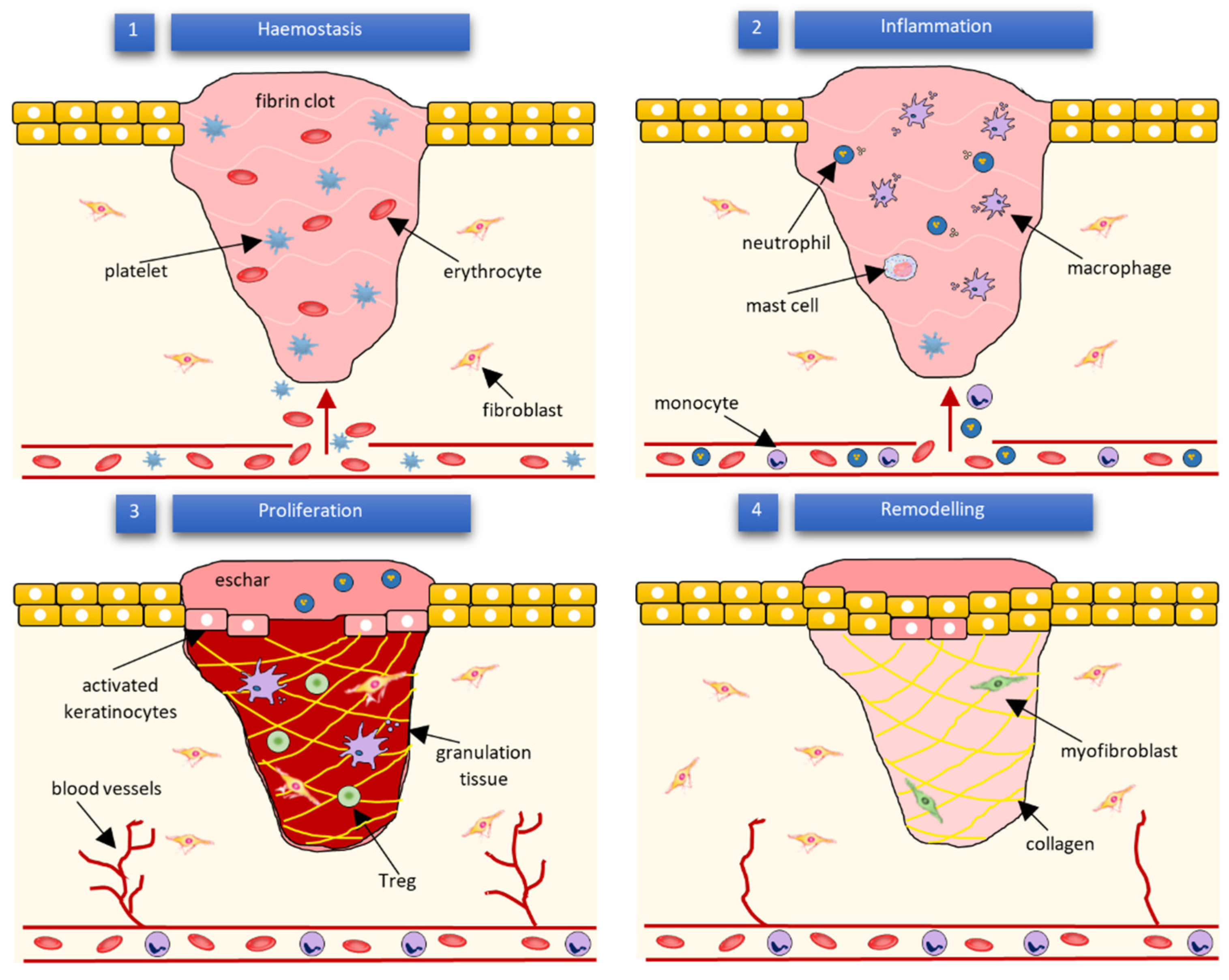 Membranes 12 00215 g002 Membranes 12 00215 g002
