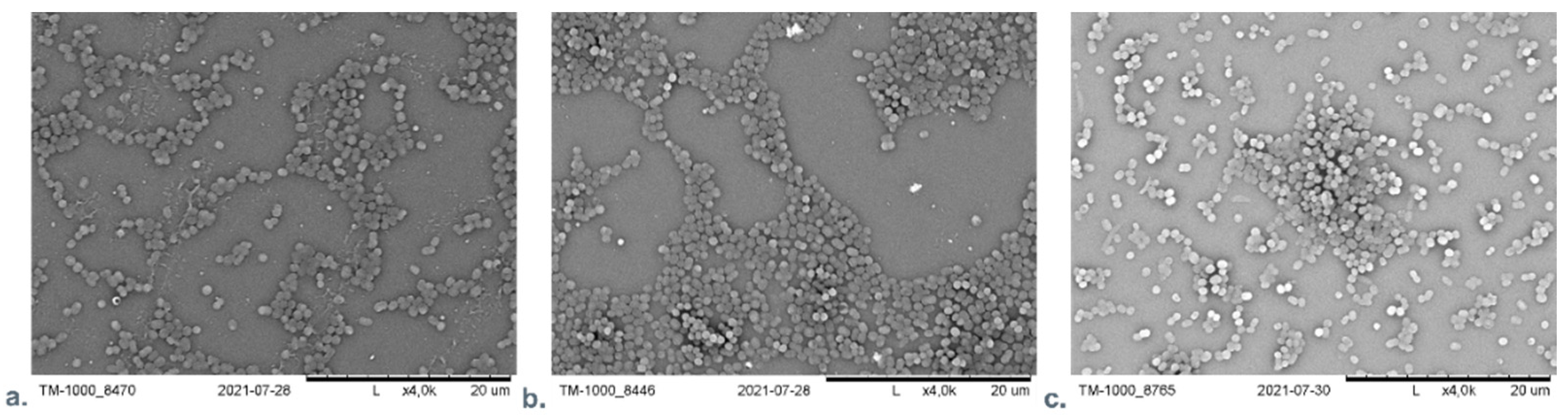 Membranes 12 00215 g006 Membranes 12 00215 g006