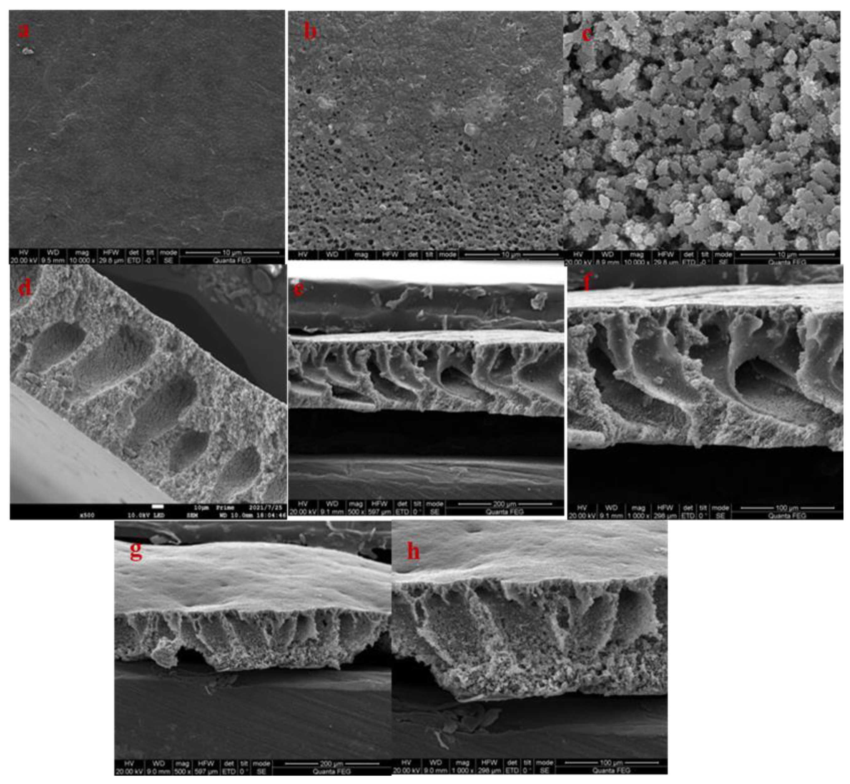 Membranes 12 00216 g004