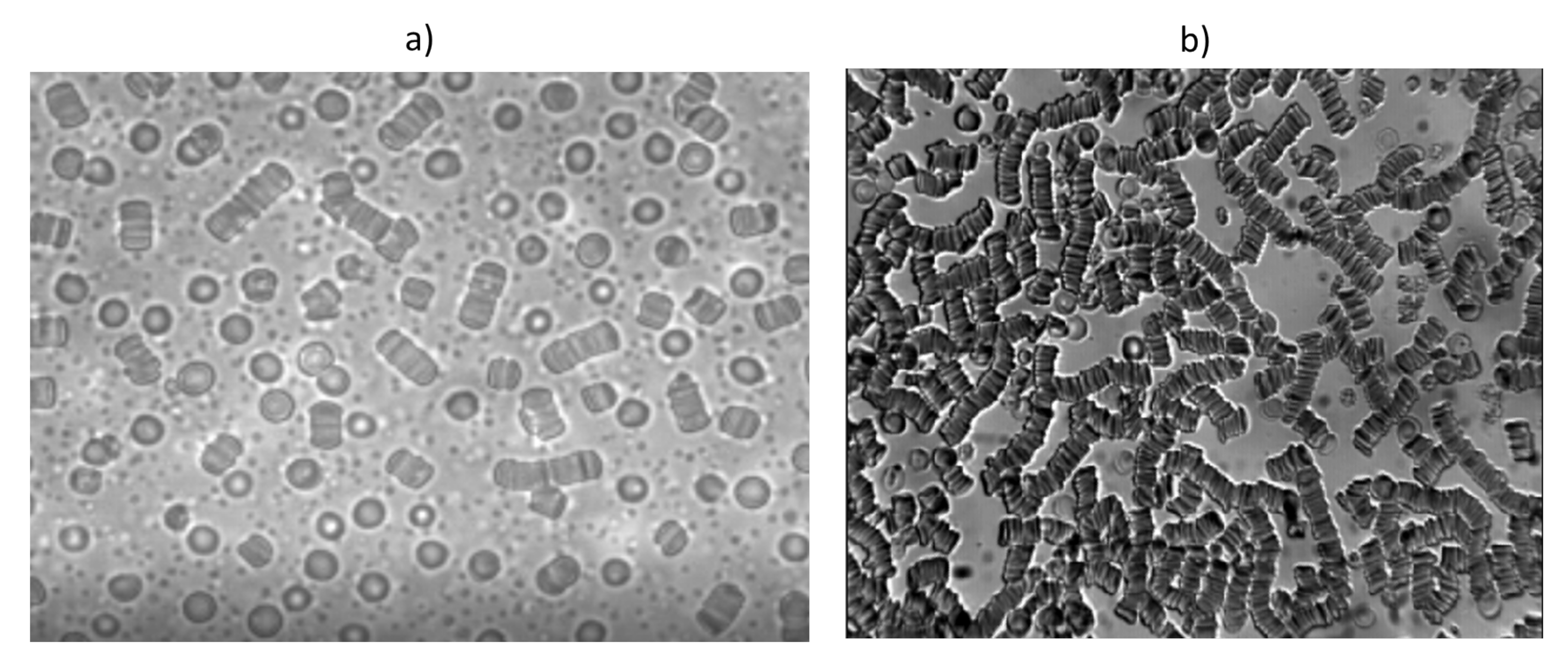 Membranes 12 00217 g010 Membranes 12 00217 g010