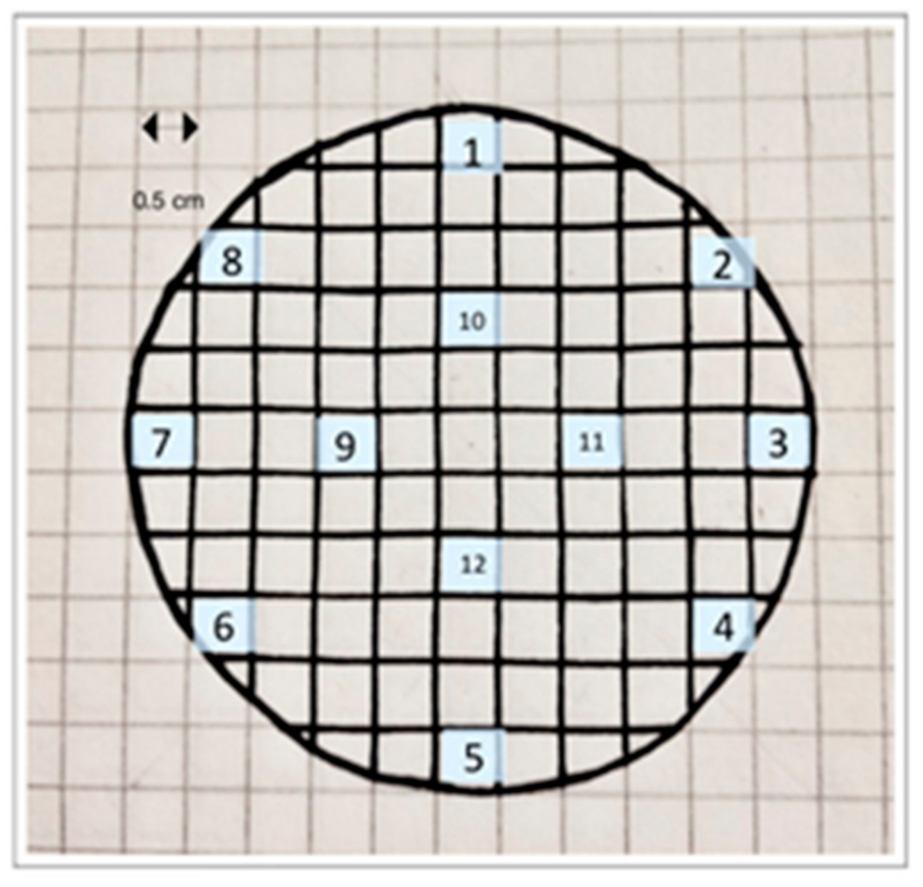 Membranes 12 00223 g002
