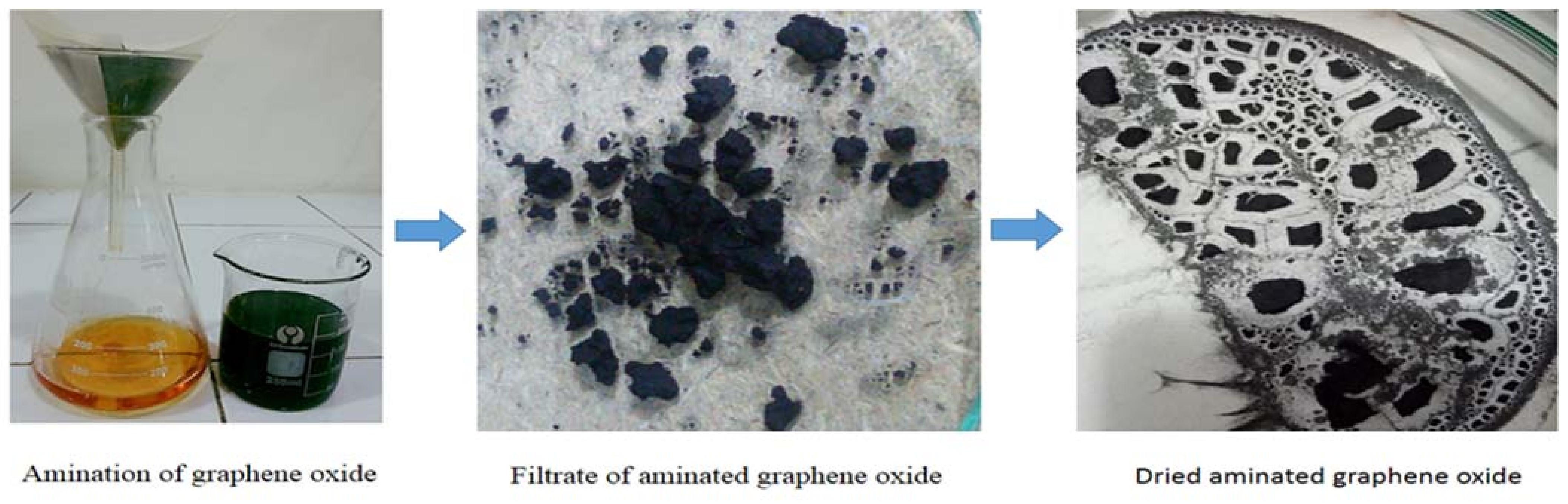 Membranes 12 00224 g002 550