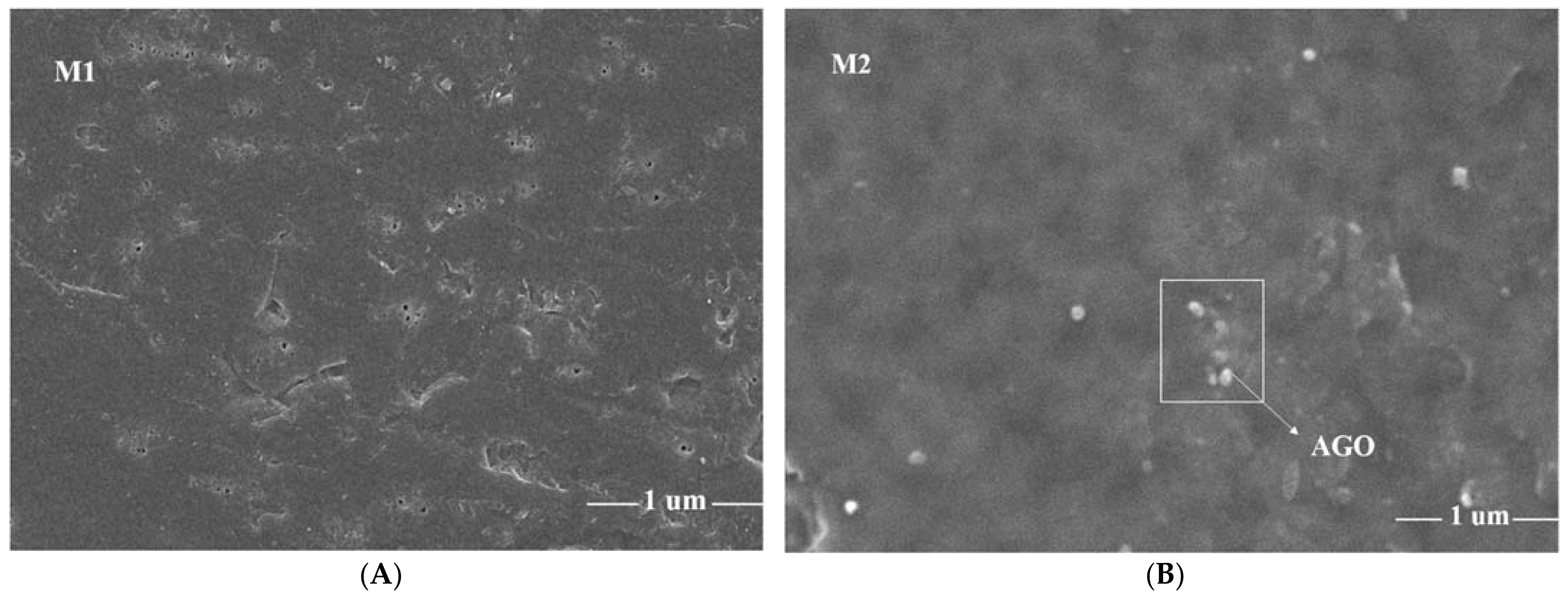 Membranes 12 00224 g004a 550
