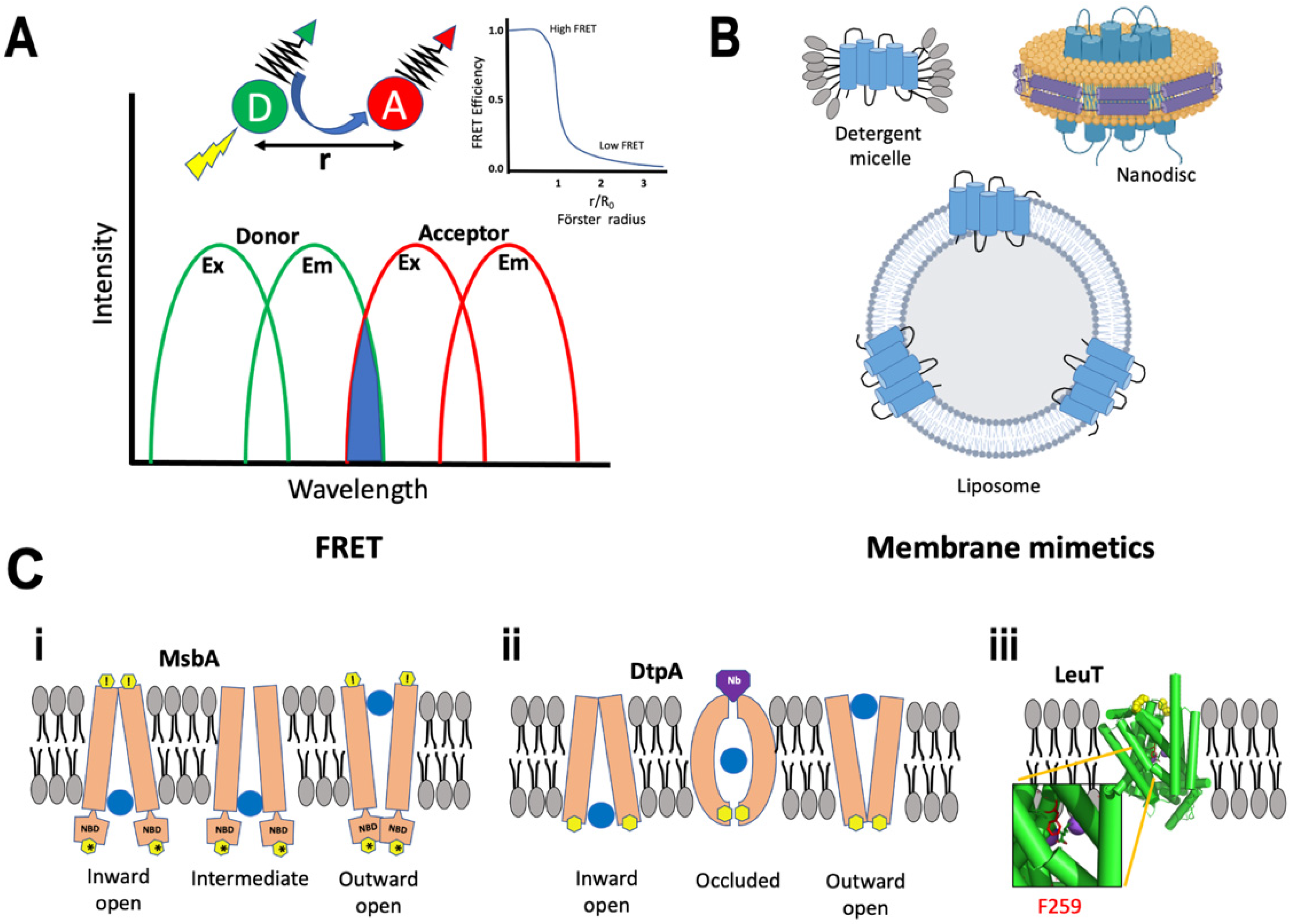 Membranes 12 00227 g004