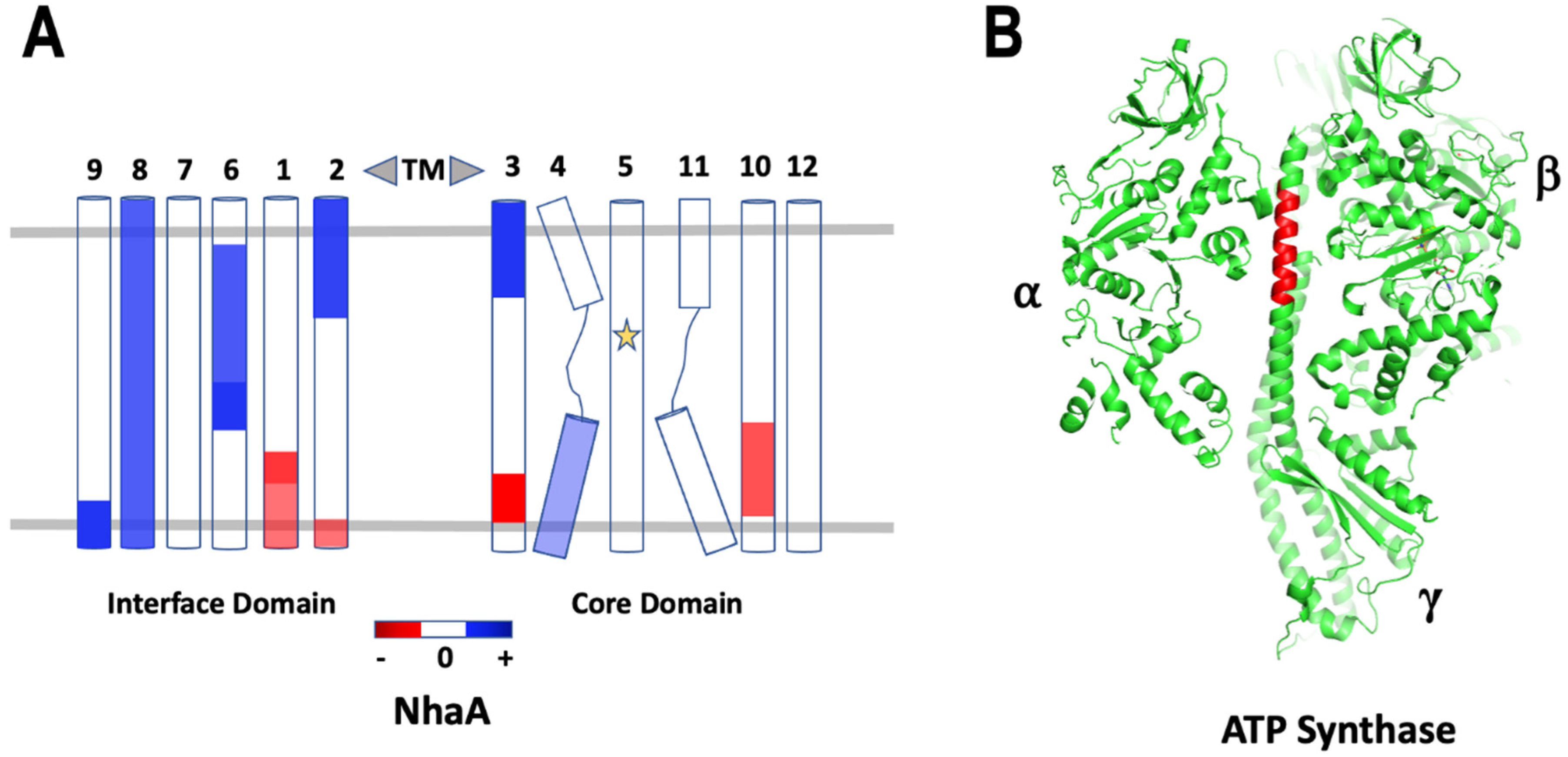 Membranes 12 00227 g006