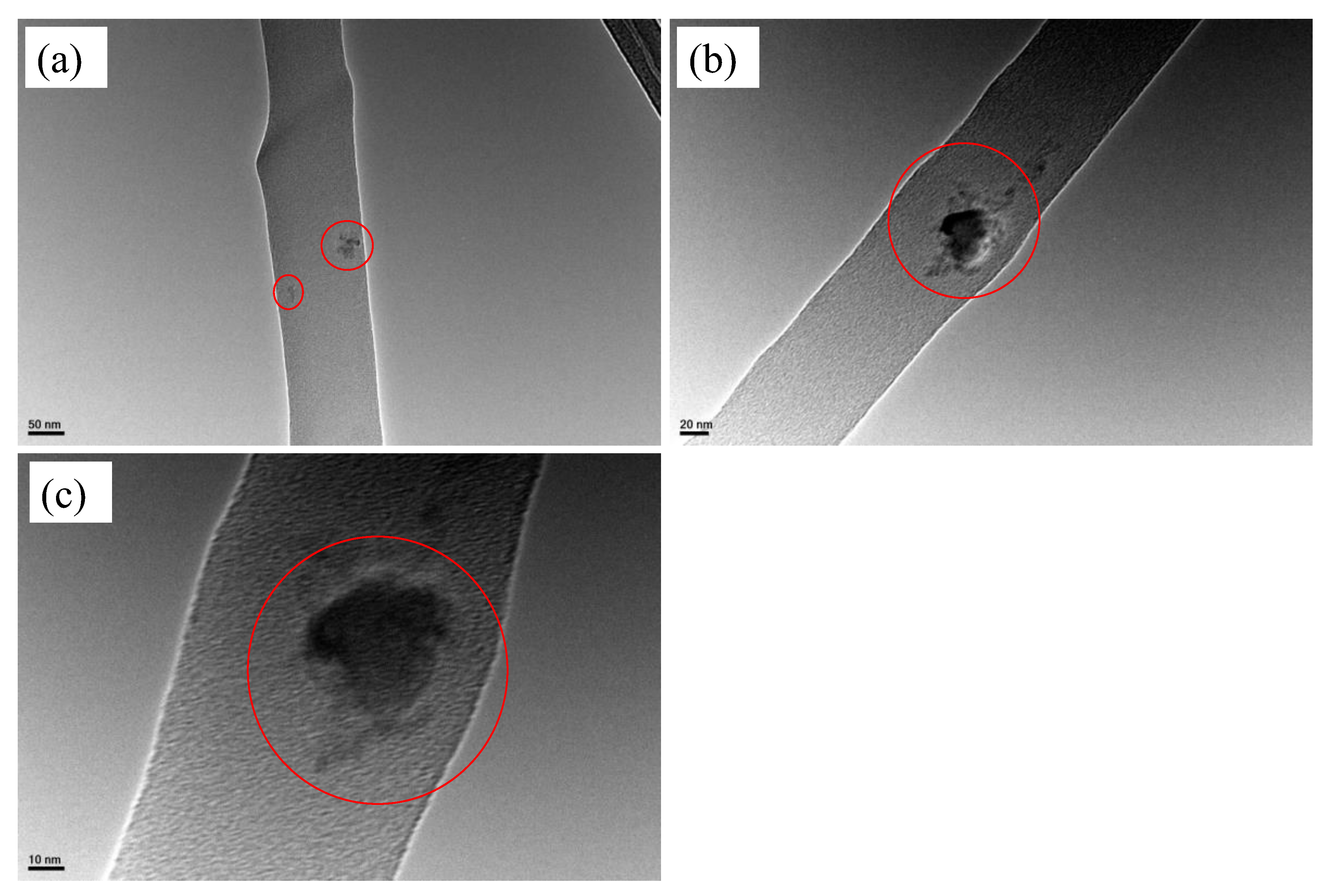 Membranes 12 00228 g003