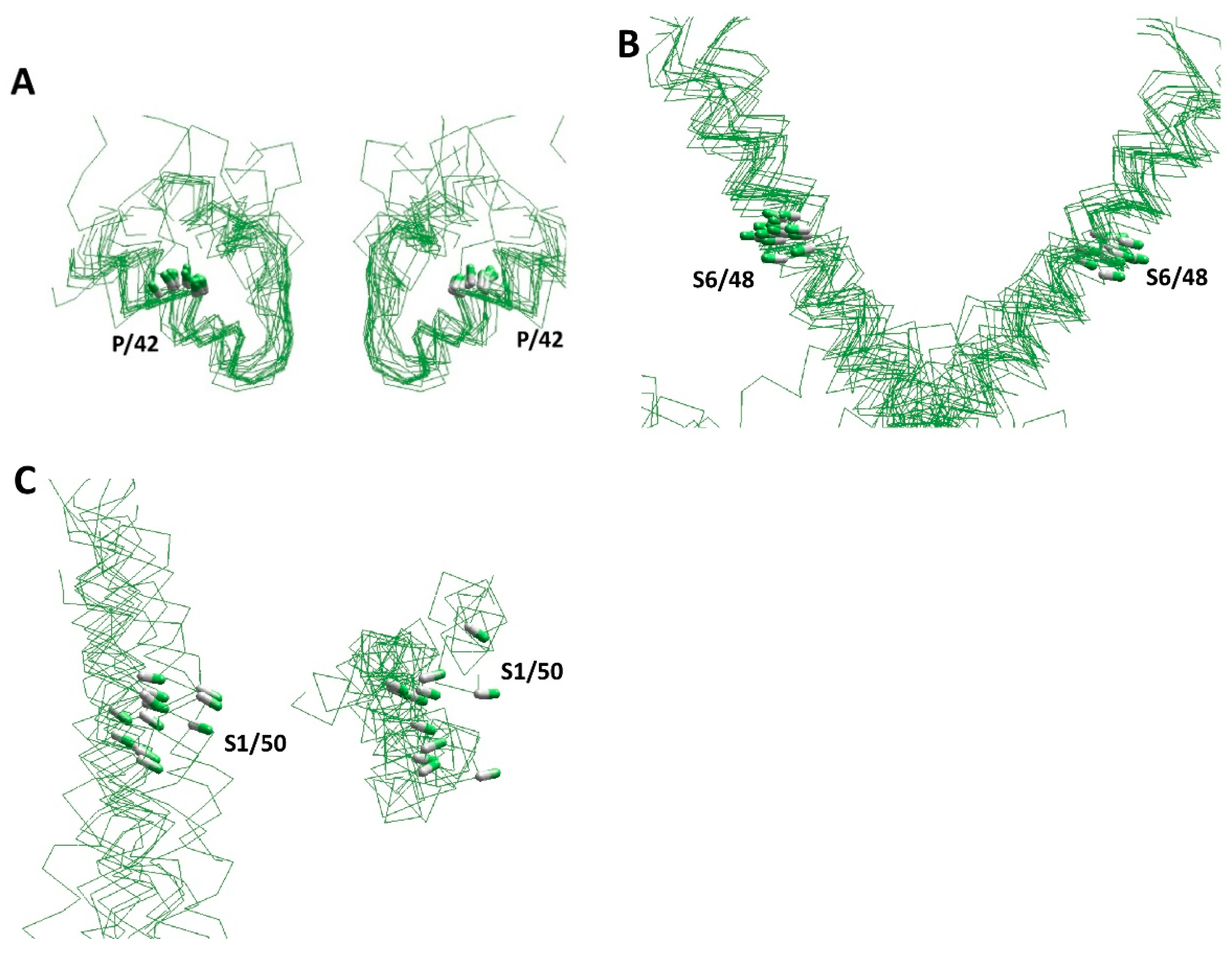 Membranes 12 00229 g002 Membranes 12 00229 g002