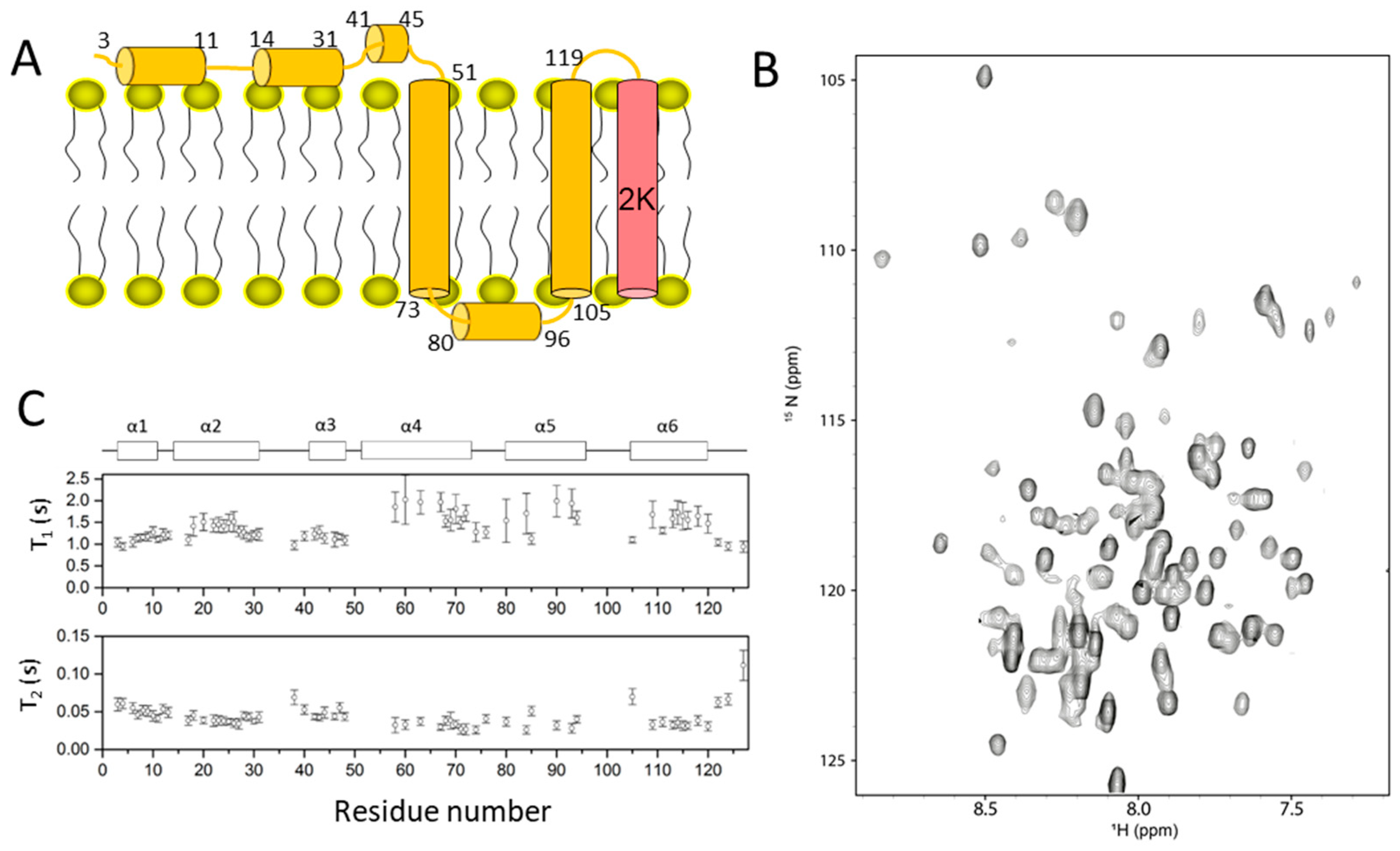 Membranes 12 00231 g004
