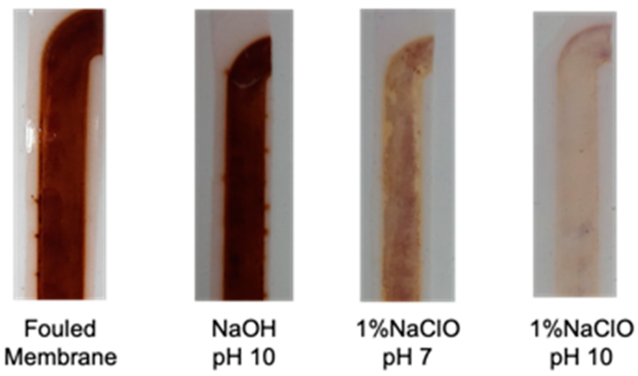Membranes 12 00234 g008