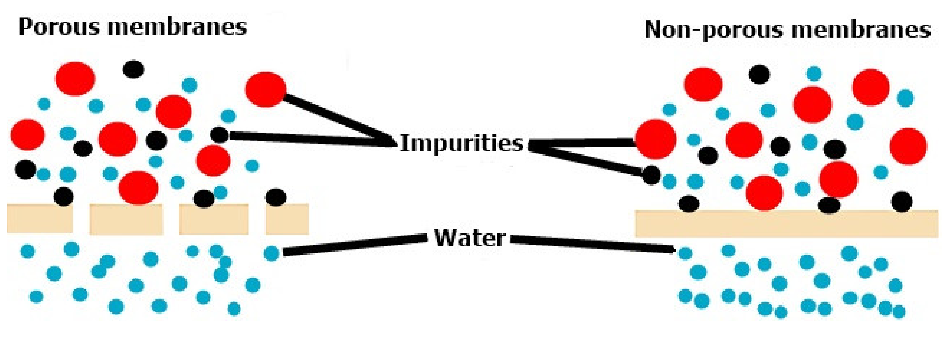Membranes 12 00236 g001 550