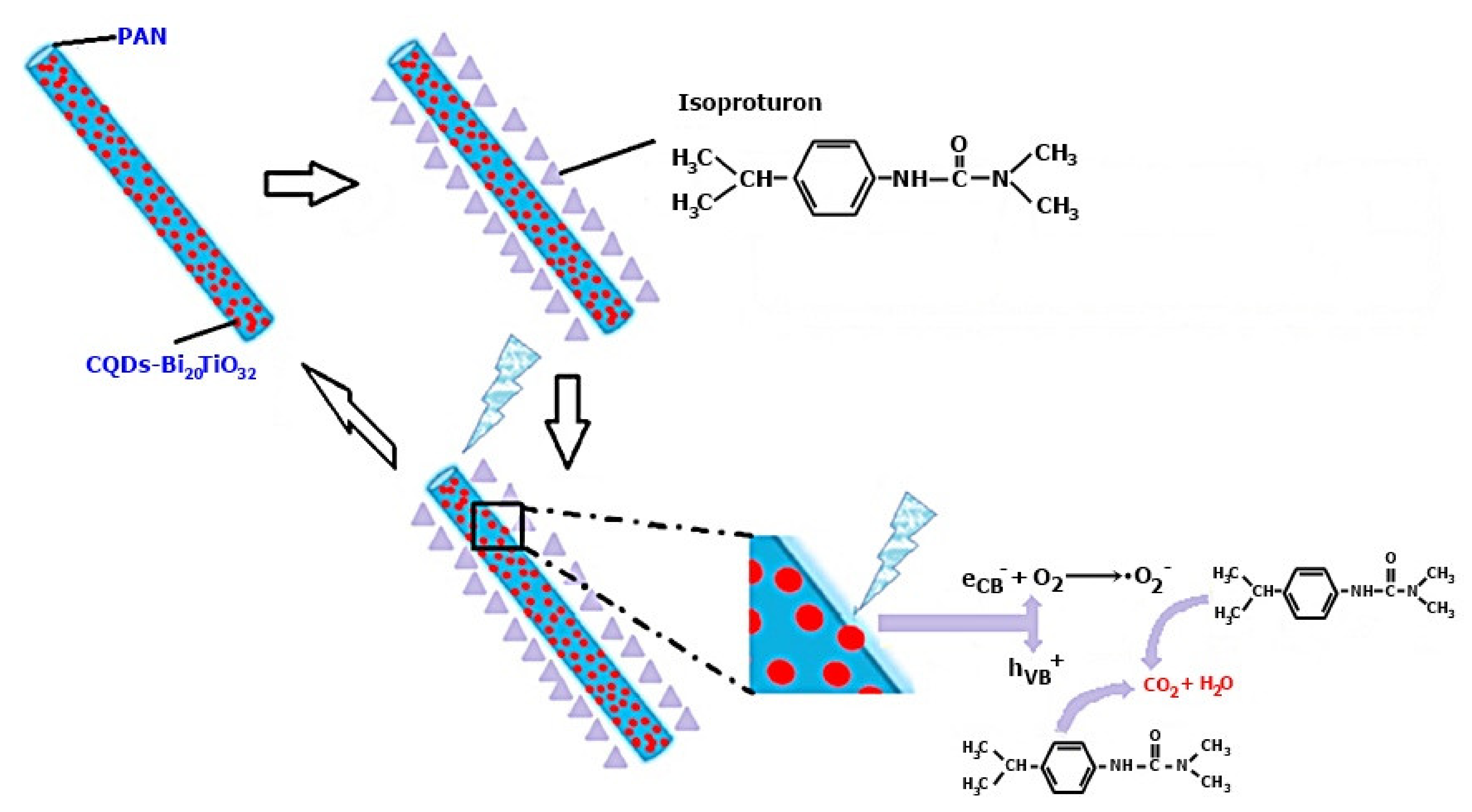 Membranes 12 00236 g005 550