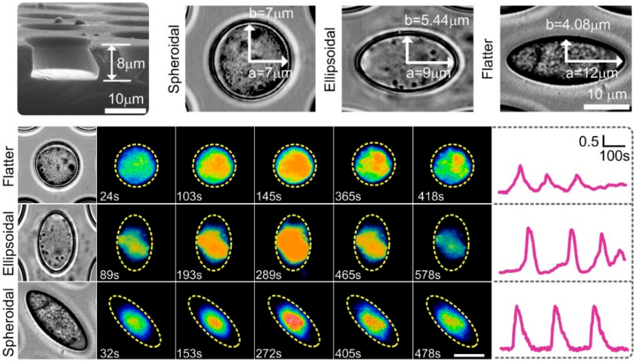 Membranes 12 00237 g004 550