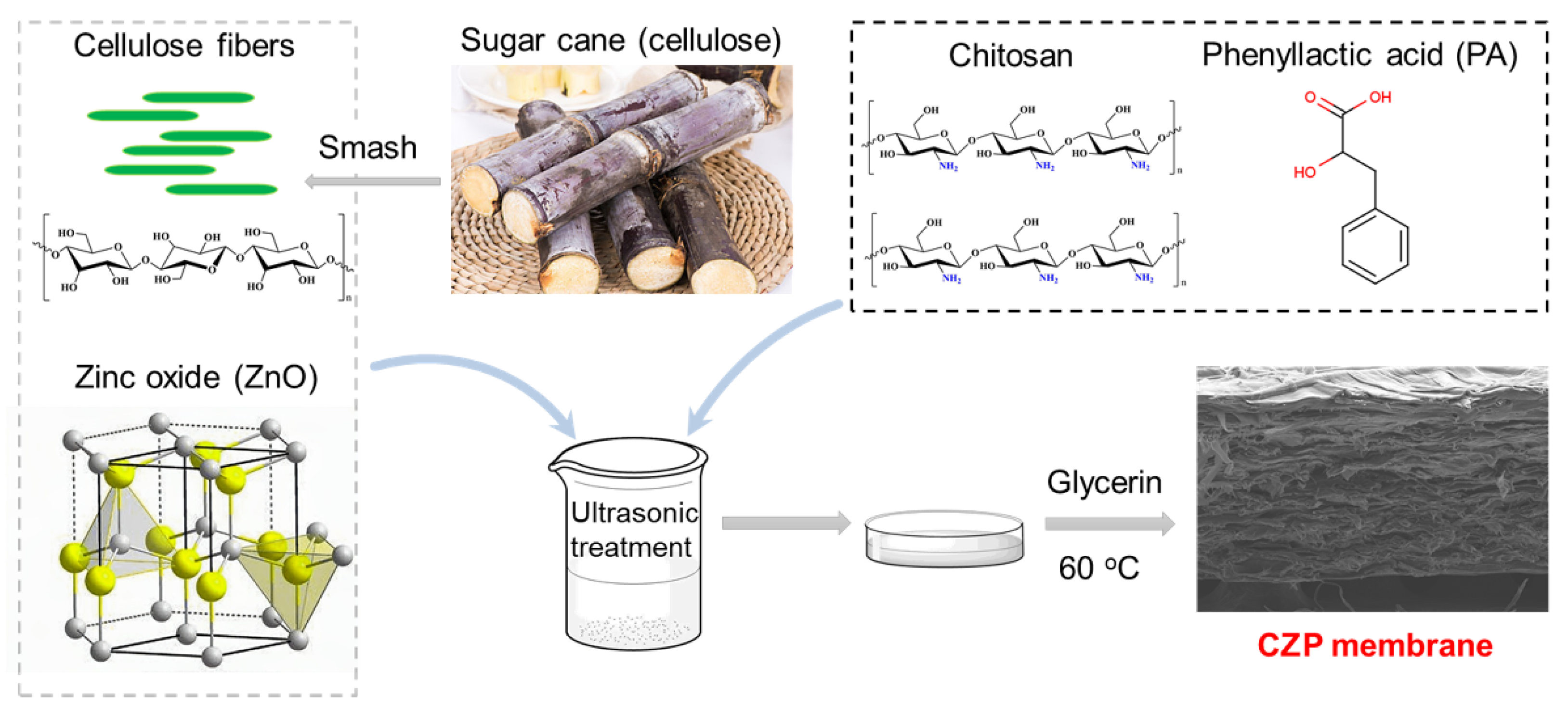 Hybrid Membranes Development Made by Chitosan and Calcium
