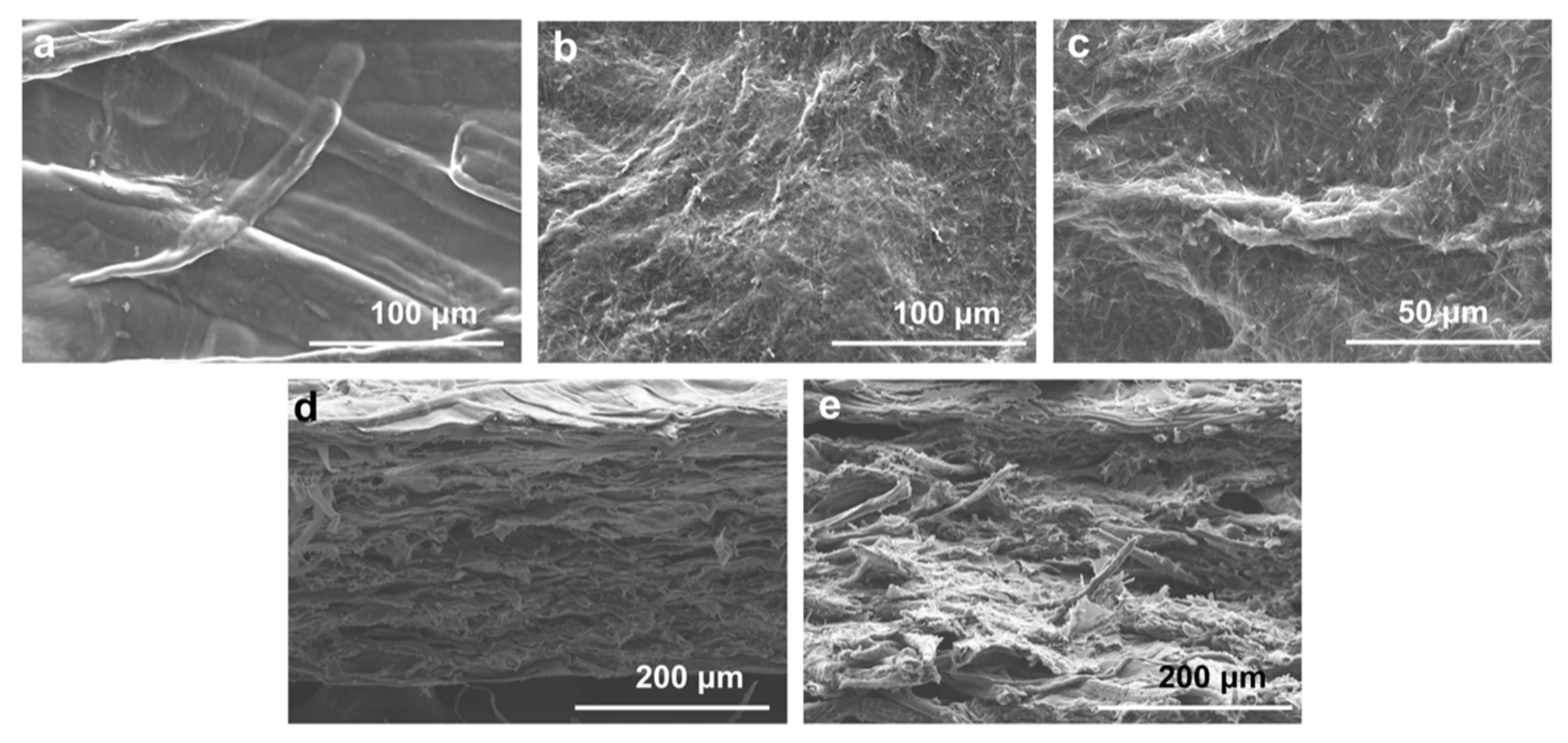 Membranes 12 00239 g002