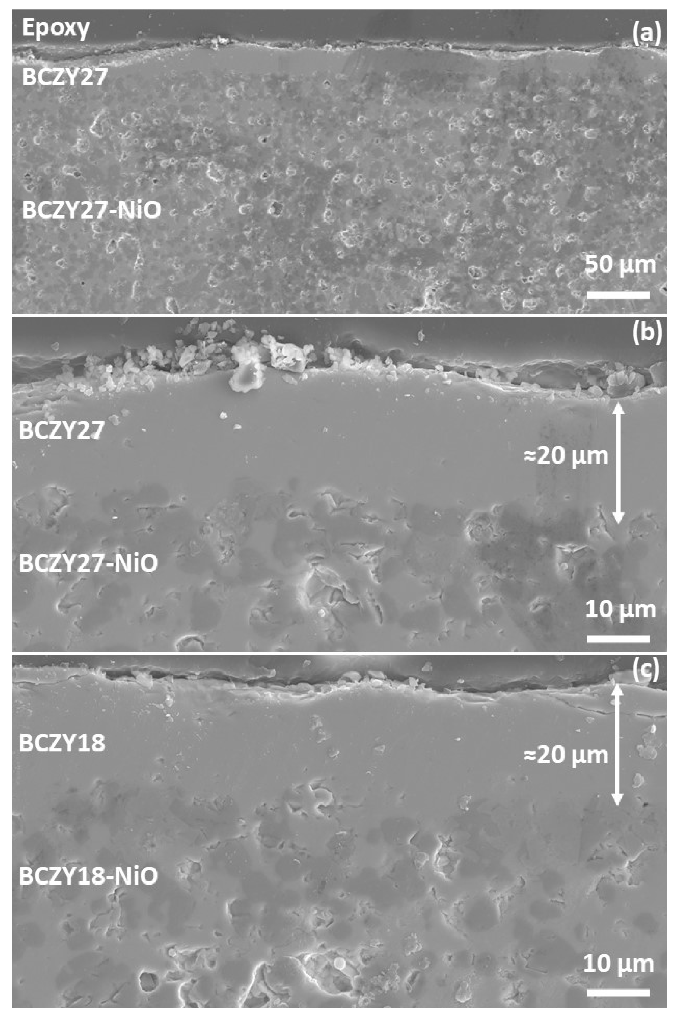 Membranes 12 00242 g003