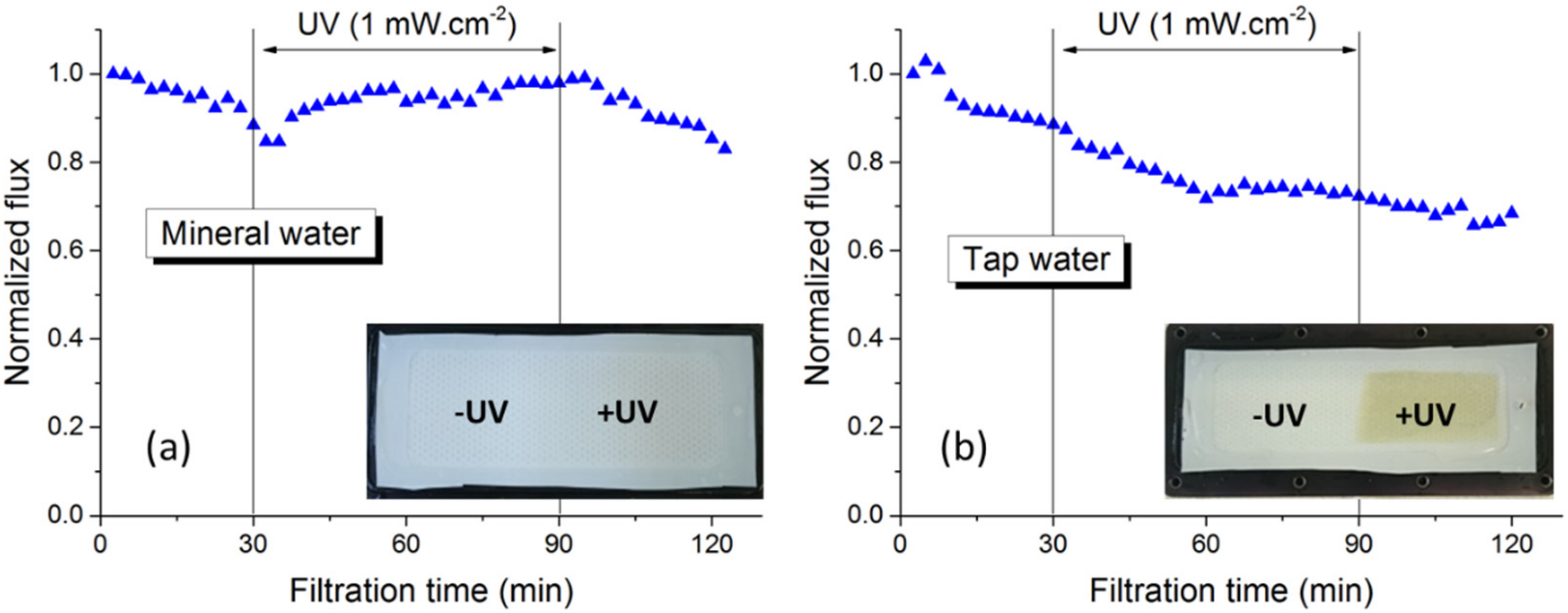 Membranes 12 00245 g001