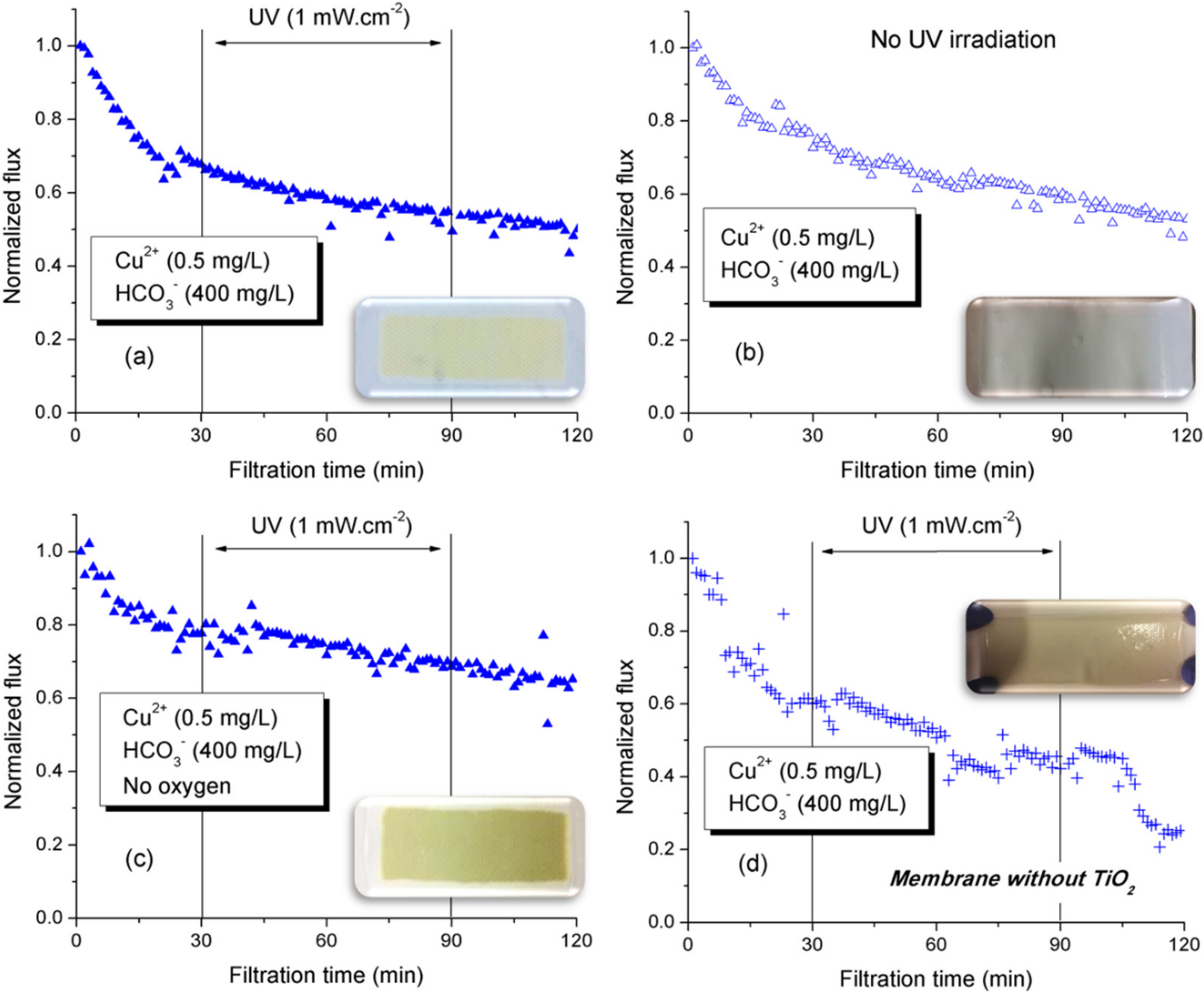 Membranes 12 00245 g006