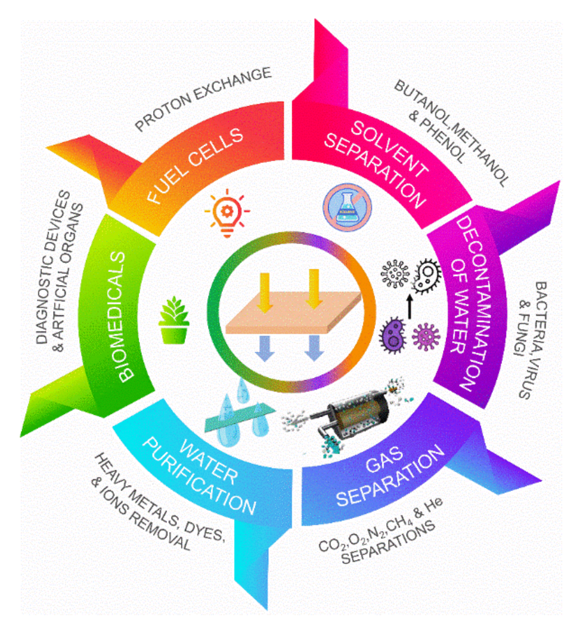 Descargar Gratis Libro Complete Pet Cambridge Membranes | Free Full-Text | Recent Advancements in Polyphenylsulfone  Membrane Modification Methods for Separation Applications | HTML