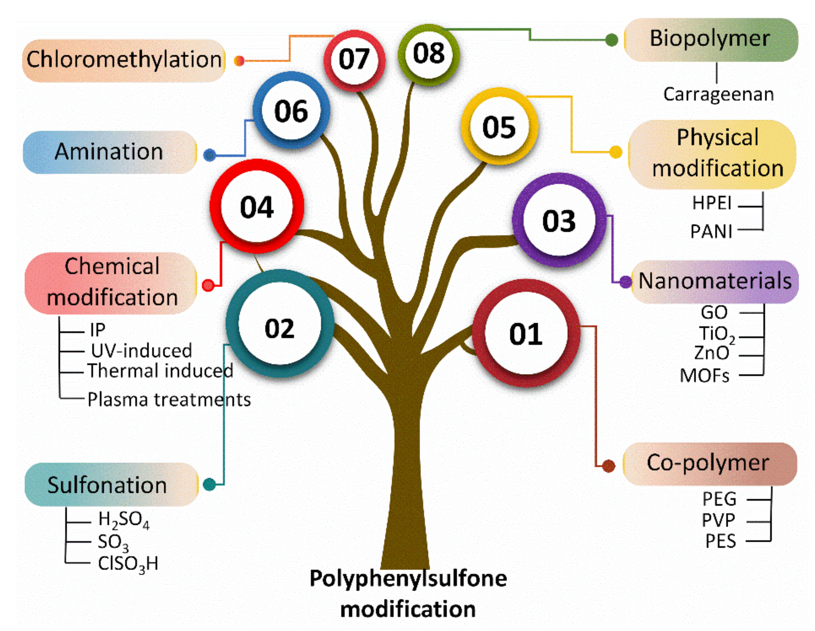 Membranes 12 00247 g002 550